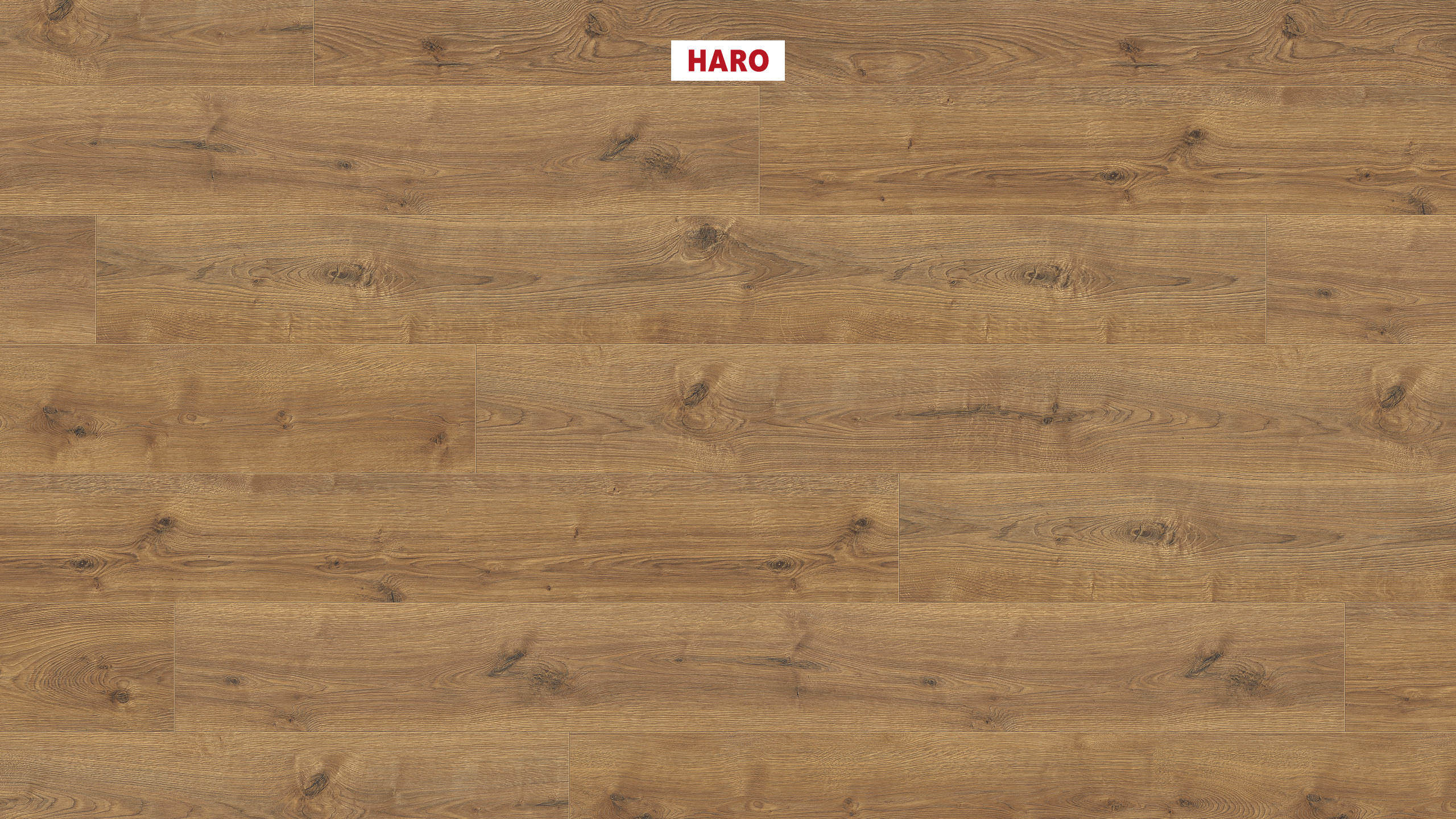 8 mm HARO Laminatboden Tritty 200 Aqua - Eiche Portland natur_0