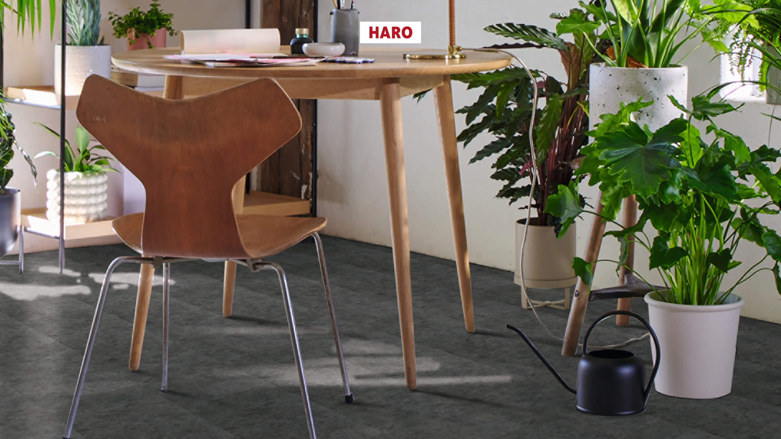 8 mm HARO Laminatboden Tritty 200 Aqua - Beton dunkel_1 8 mm HARO Laminatboden Tritty 200 Aqua - Beton dunkel_1