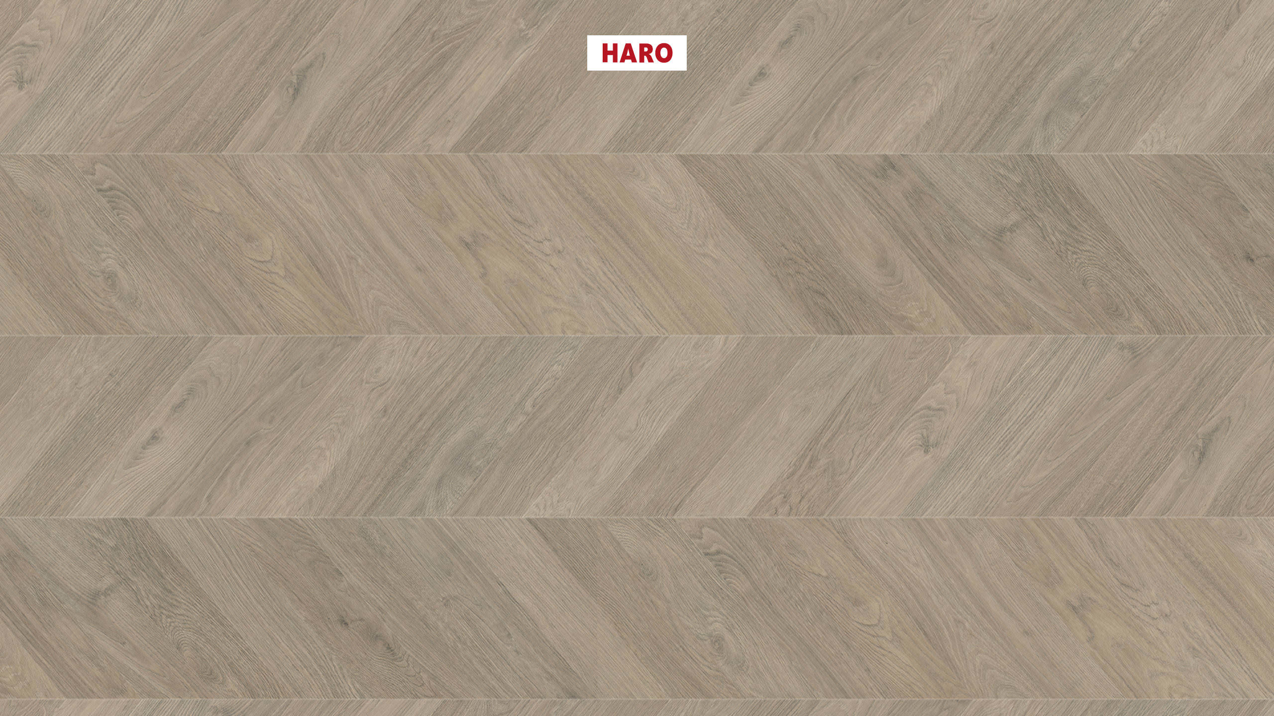 8 mm HARO Laminatboden Tritty 200 Aqua - Eiche grau_0