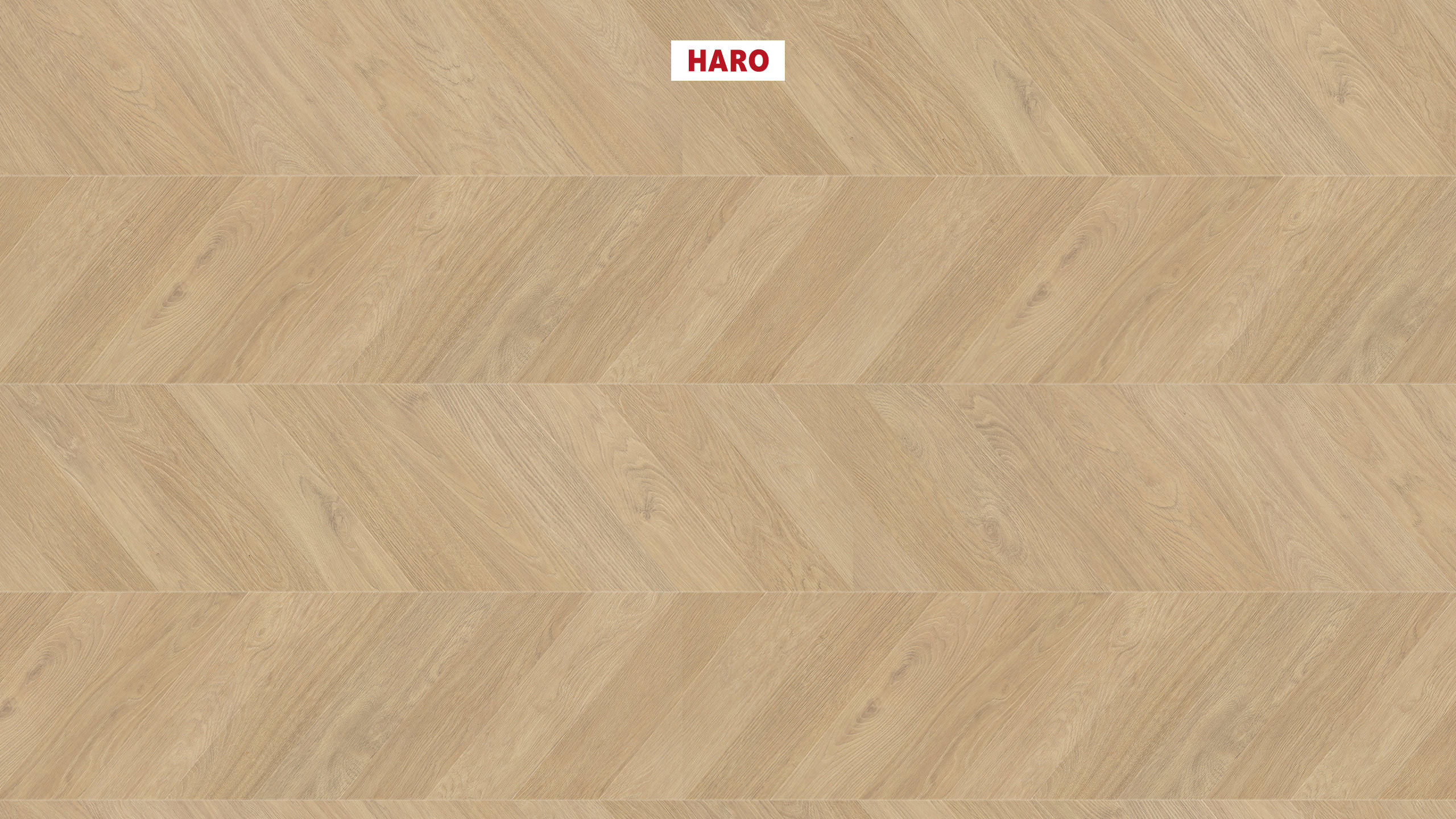 8 mm HARO Laminatboden Tritty 200 Aqua - Eiche puro_0