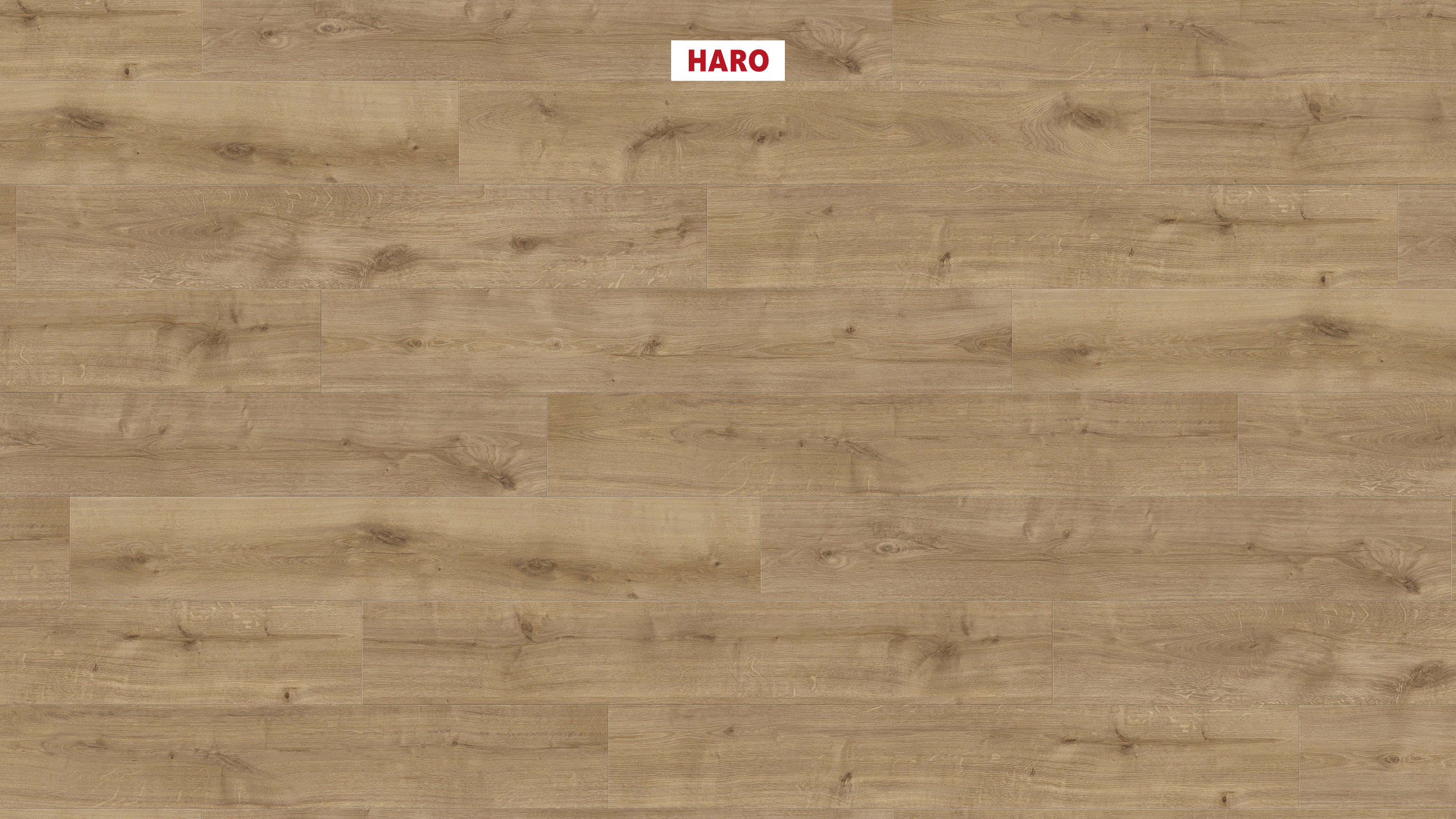 8 mm HARO Laminatboden Sonderedition NKL 32 - Eiche Calla natur_1 8 mm HARO Laminatboden Sonderedition NKL 32 - Eiche Calla natur_1