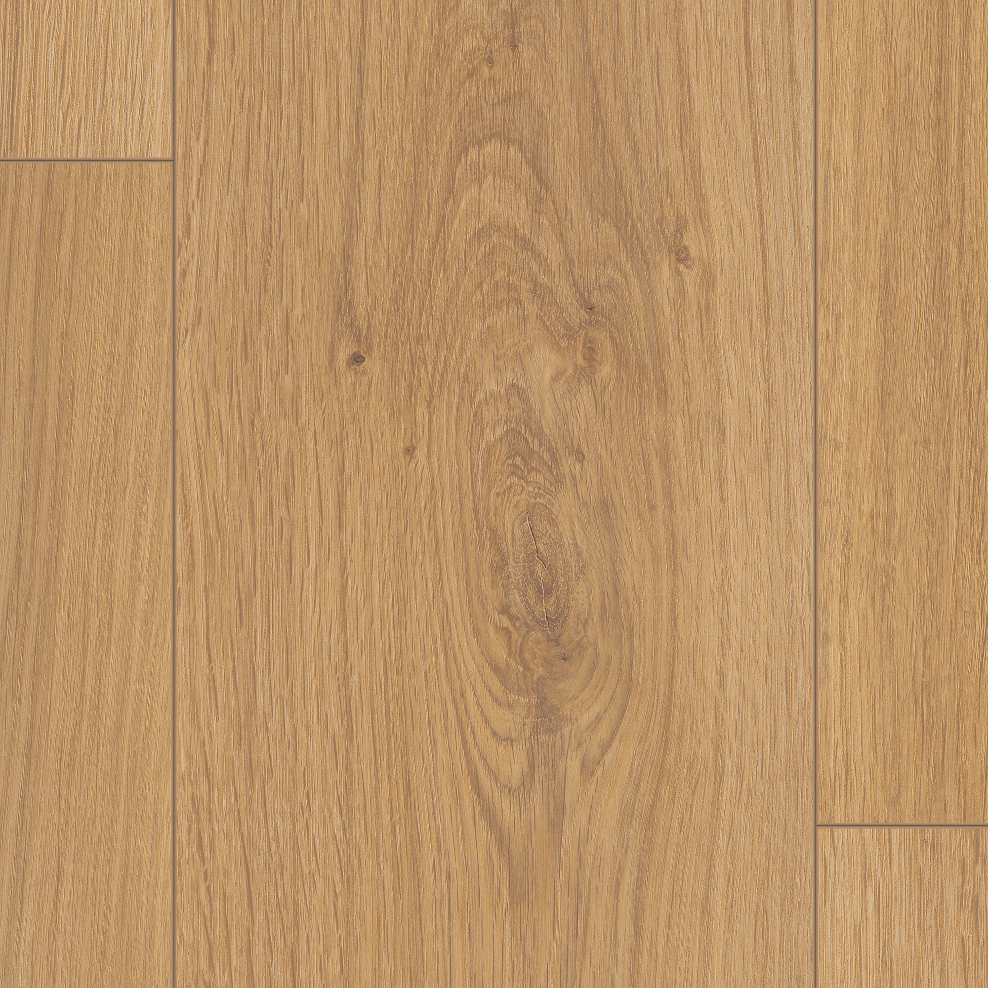 10 mm EGGER - Pinot Eiche honig - EL2114_4