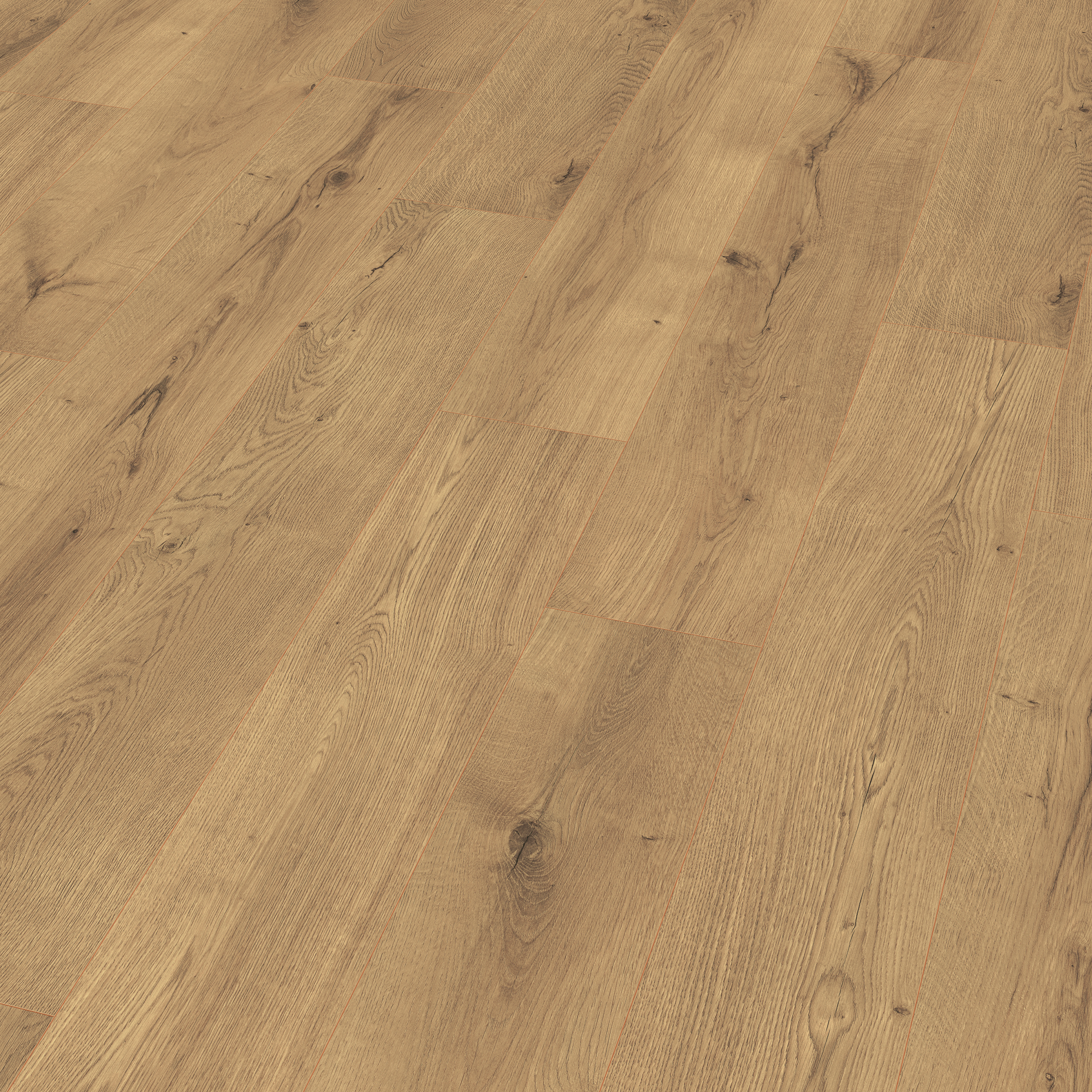 10 mm EGGER - Lausanne Eiche natur - EL2953_1 10 mm EGGER - Lausanne Eiche natur - EL2953_1