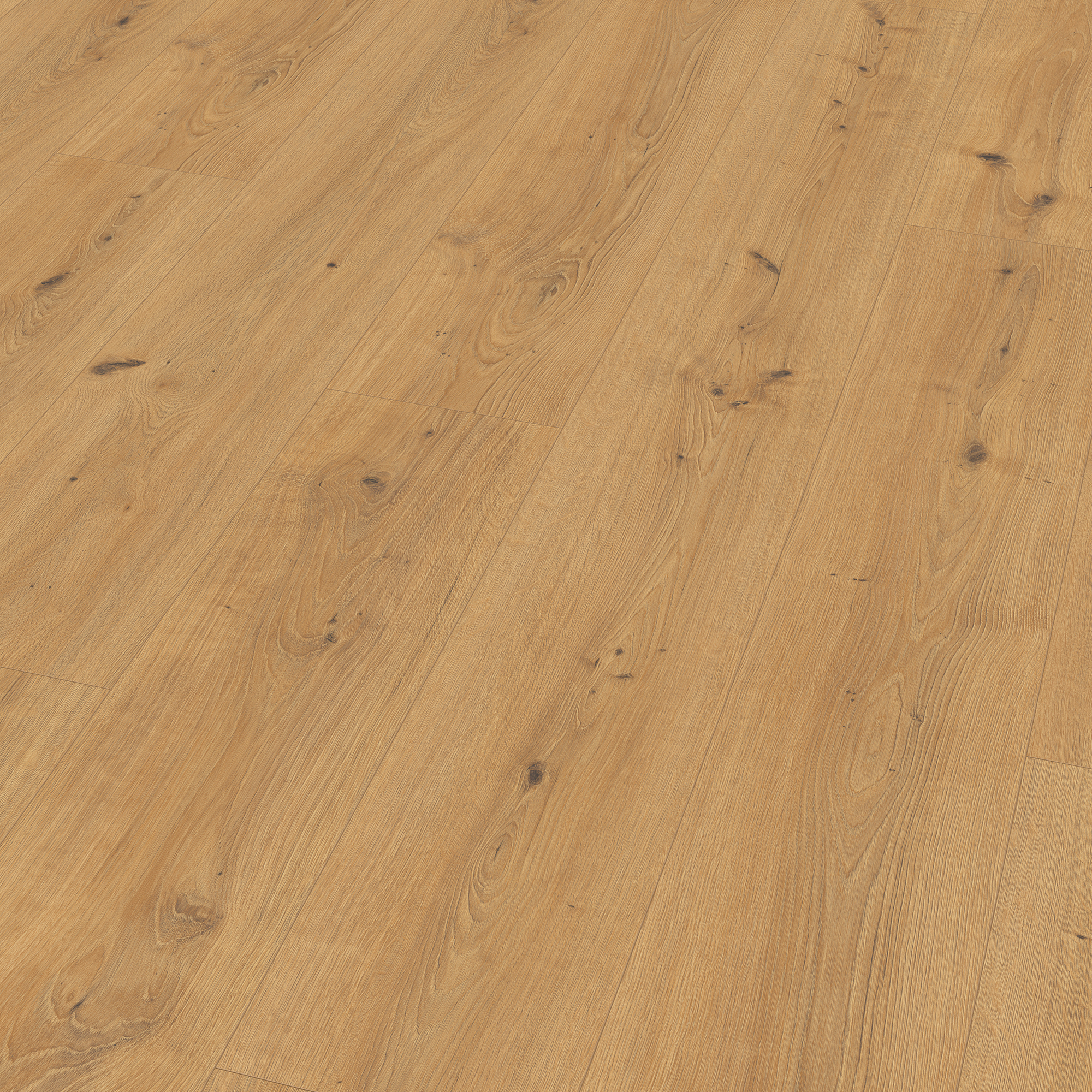 10 mm EGGER - Cadiz Eiche honig - EL2137_1 10 mm EGGER - Cadiz Eiche honig - EL2137_1