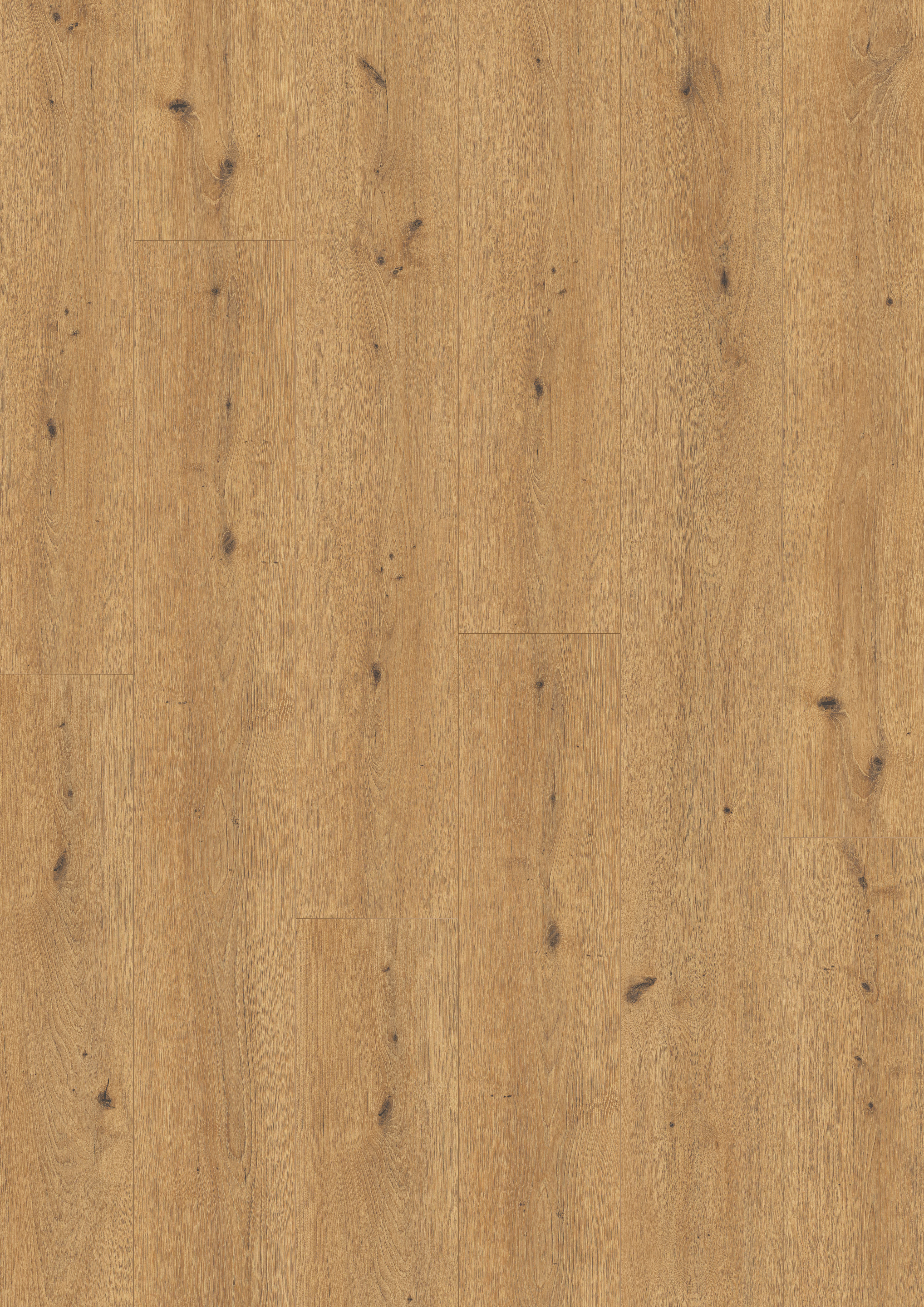 10 mm EGGER - Cadiz Eiche honig - EL2137_3