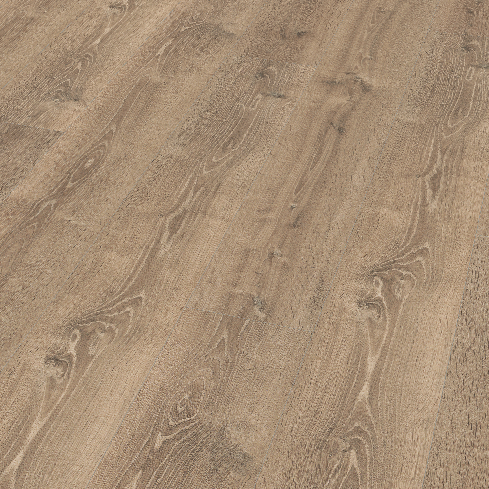 10 mm EGGER - Bayford Eiche grau - EL2942_1 10 mm EGGER - Bayford Eiche grau - EL2942_1