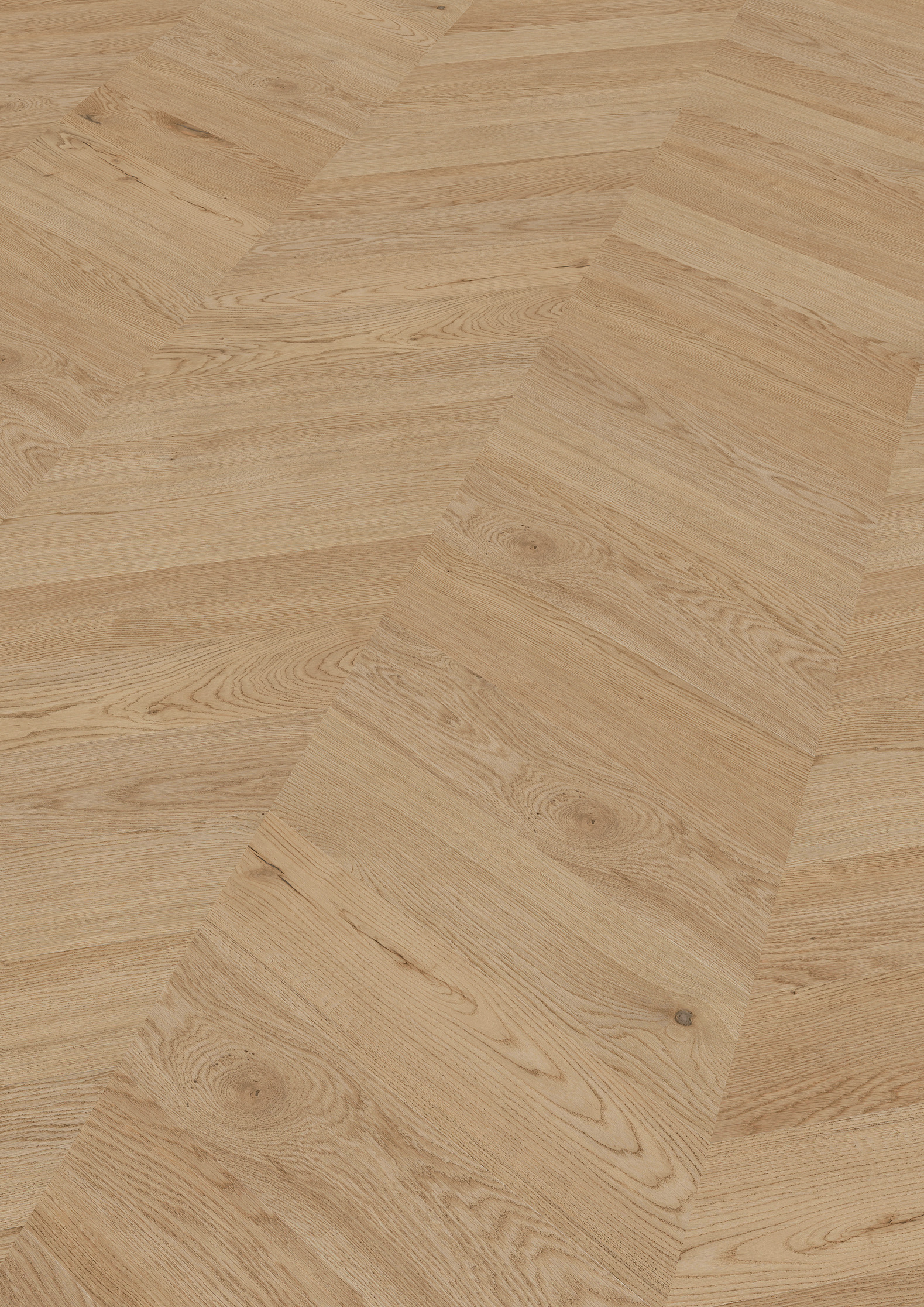 2,5 mm ter Hürne Soya Design-Vinylboden - Eiche Dublin_0 2,5 mm ter Hürne Soya Design-Vinylboden - Eiche Dublin_0