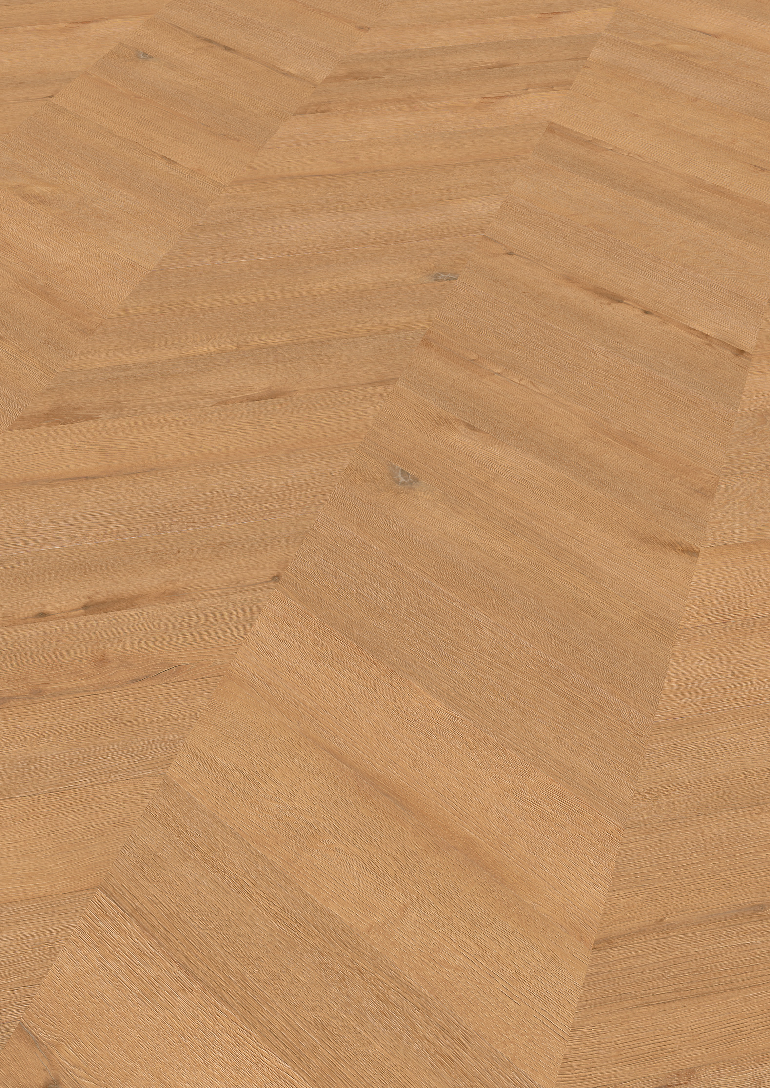 2,5 mm ter Hürne Soya Design-Vinylboden - Eiche Hamburg_0