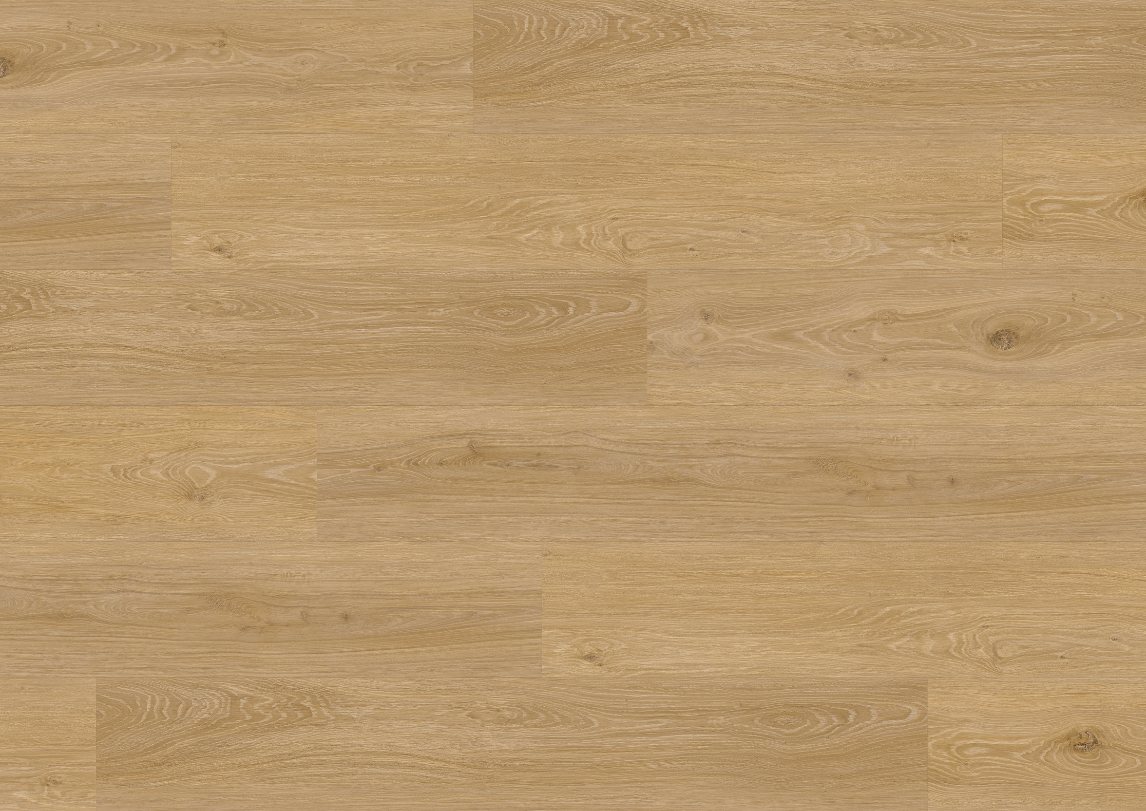 6 mm ter Hürne Soya Design-Vinylboden - Eiche Den Haag_1 6 mm ter Hürne Soya Design-Vinylboden - Eiche Den Haag_1