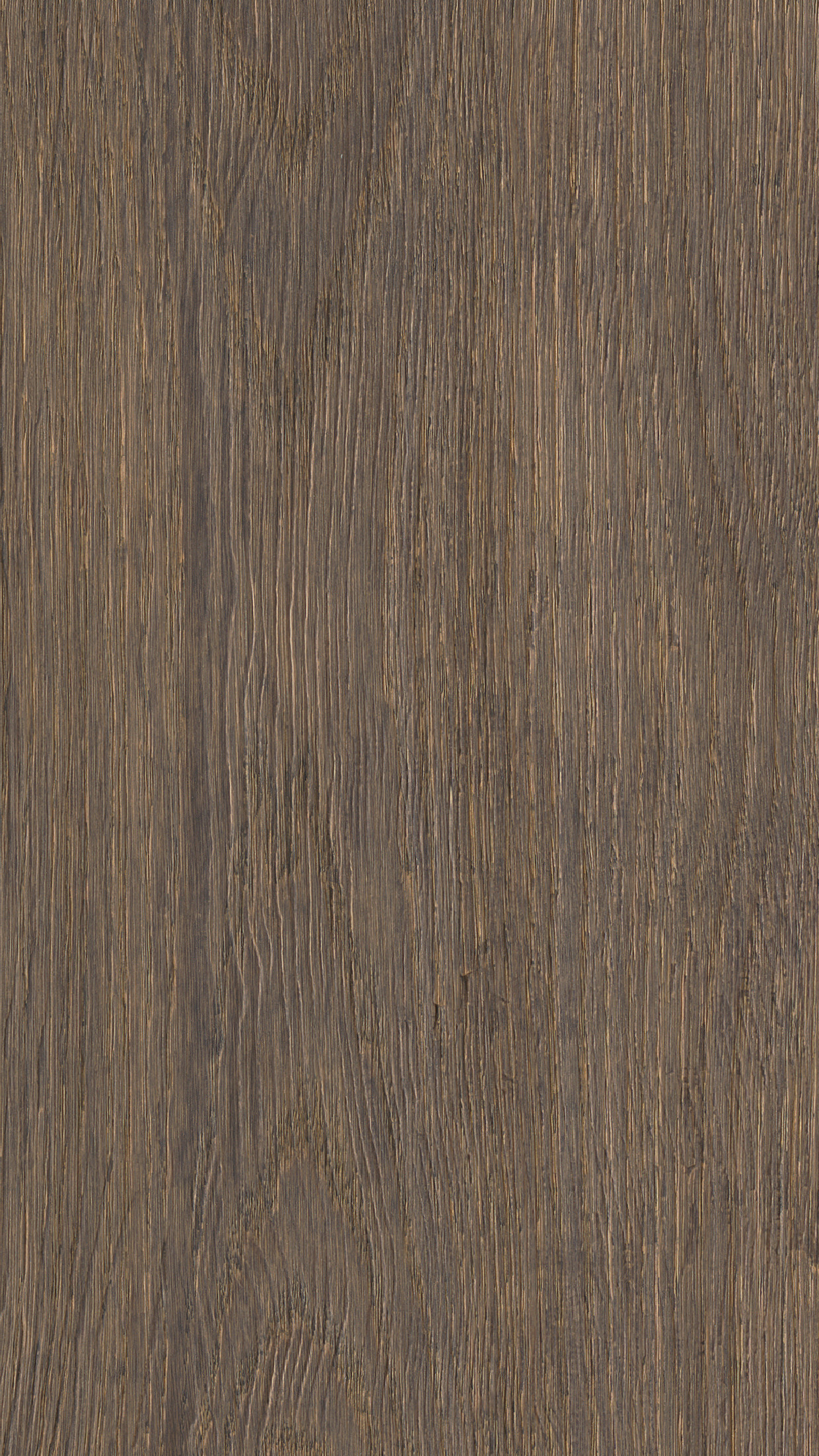 7,5 x 210 mm MeisterPaneele. craft SP 400 - Eiche authentic olivgrau - 20132_0 7,5 x 210 mm MeisterPaneele. craft SP 400 - Eiche authentic olivgrau - 20132_0