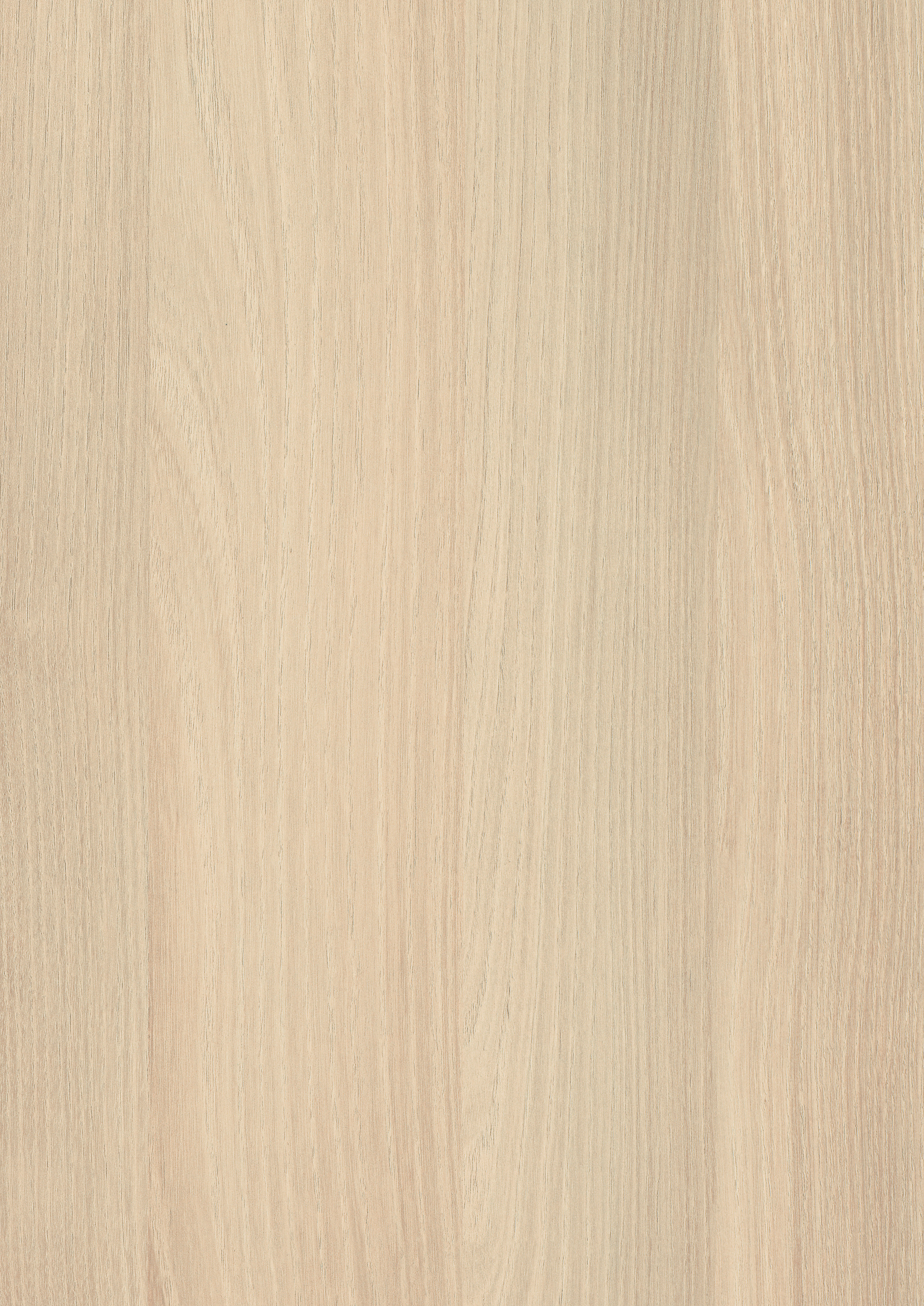 0,8/23 mm Egger ABS-Kante H1277 ST9 - Lakeland Akazie hell_0