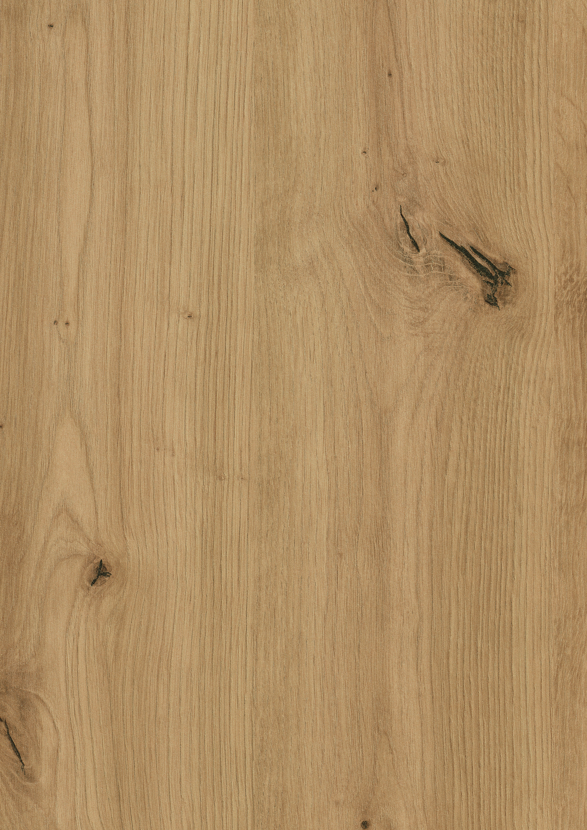0,8/23 mm Egger ABS-Kante H1318 ST10 - Wildeiche natur_0