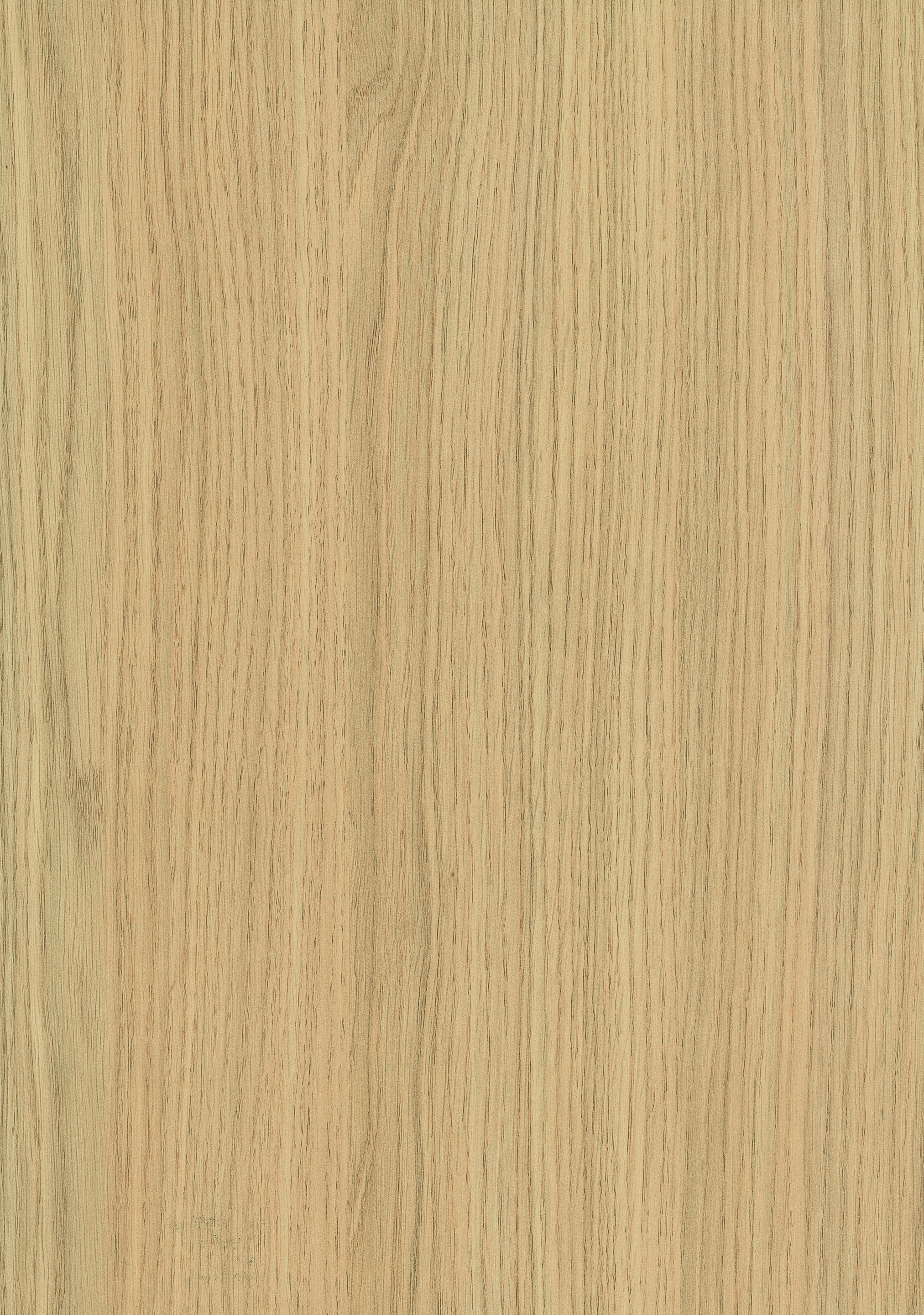 2/43 mm Egger ABS-Kante H3157 ST12 - Vicenza Eiche_0