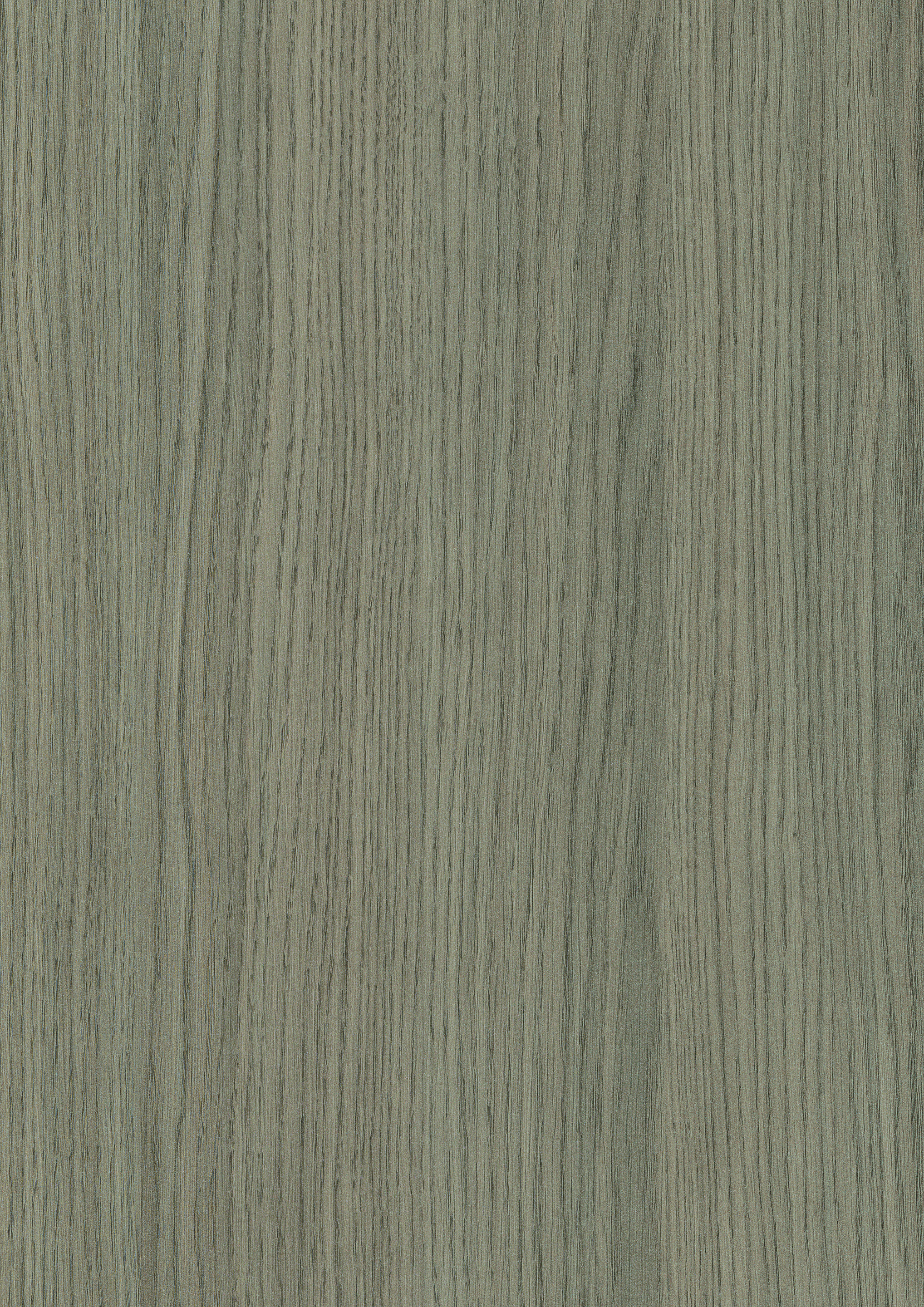 2/43 mm Egger ABS-Kante H3158 ST19 - Vicenza Eiche grau_0