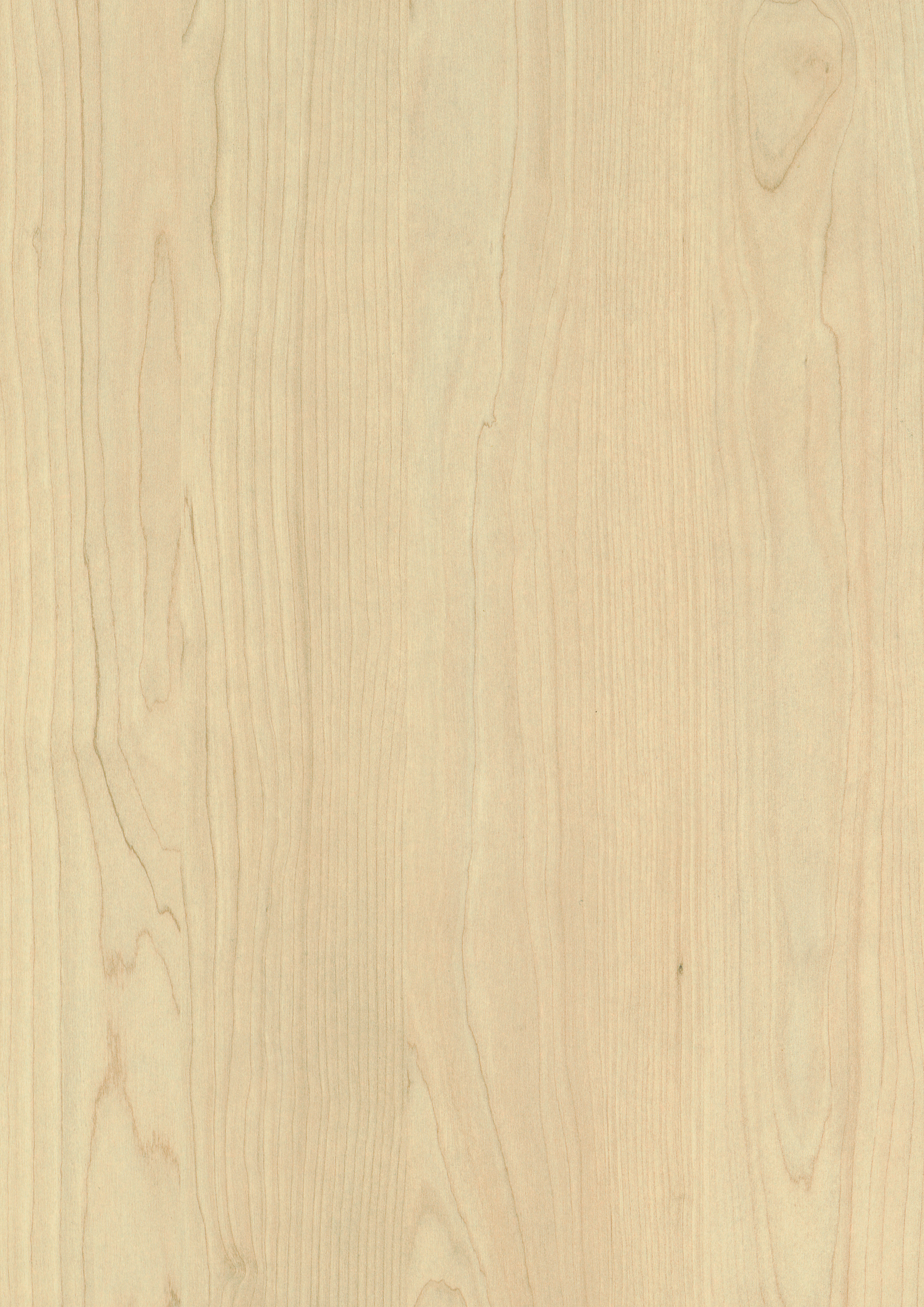 2/33 mm Egger ABS-Kante H1732 ST9 - Sandbirke_1 2/33 mm Egger ABS-Kante H1732 ST9 - Sandbirke_1