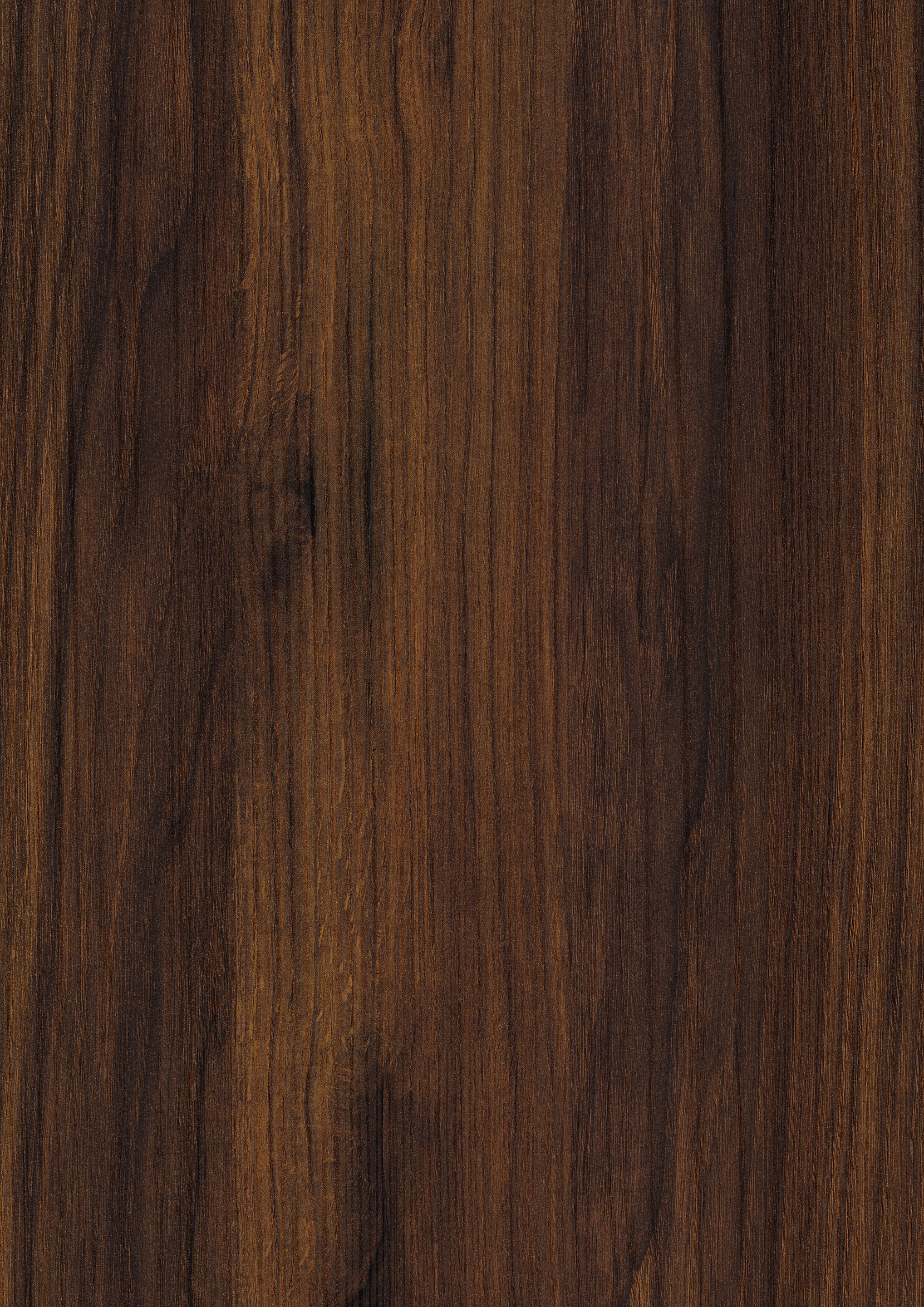 0,8/23 mm Egger ABS-Kante H1307 ST19 - Warmia Nussbaum braun_1 0,8/23 mm Egger ABS-Kante H1307 ST19 - Warmia Nussbaum braun_1