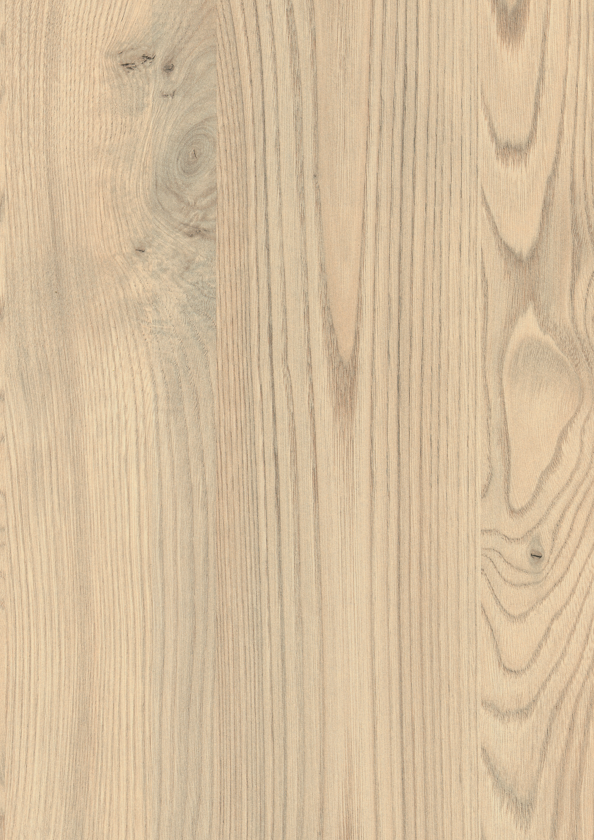 0,8/23 mm Egger ABS-Kante H1710 ST10 - Kentucky Chestnut sand_1