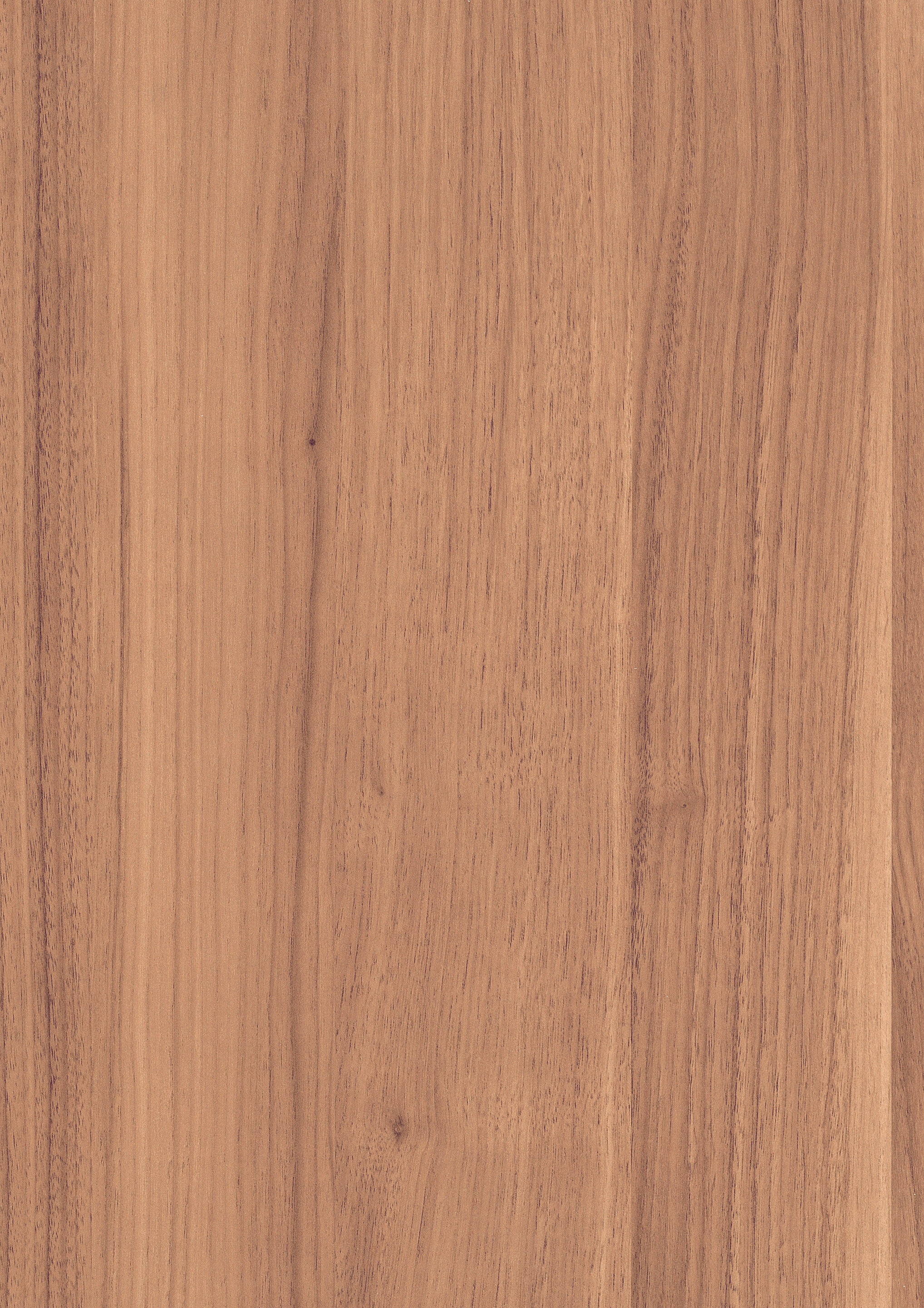 0,8/23 mm Egger ABS-Kante H1715 ST12 - Parona Nussbaum_1