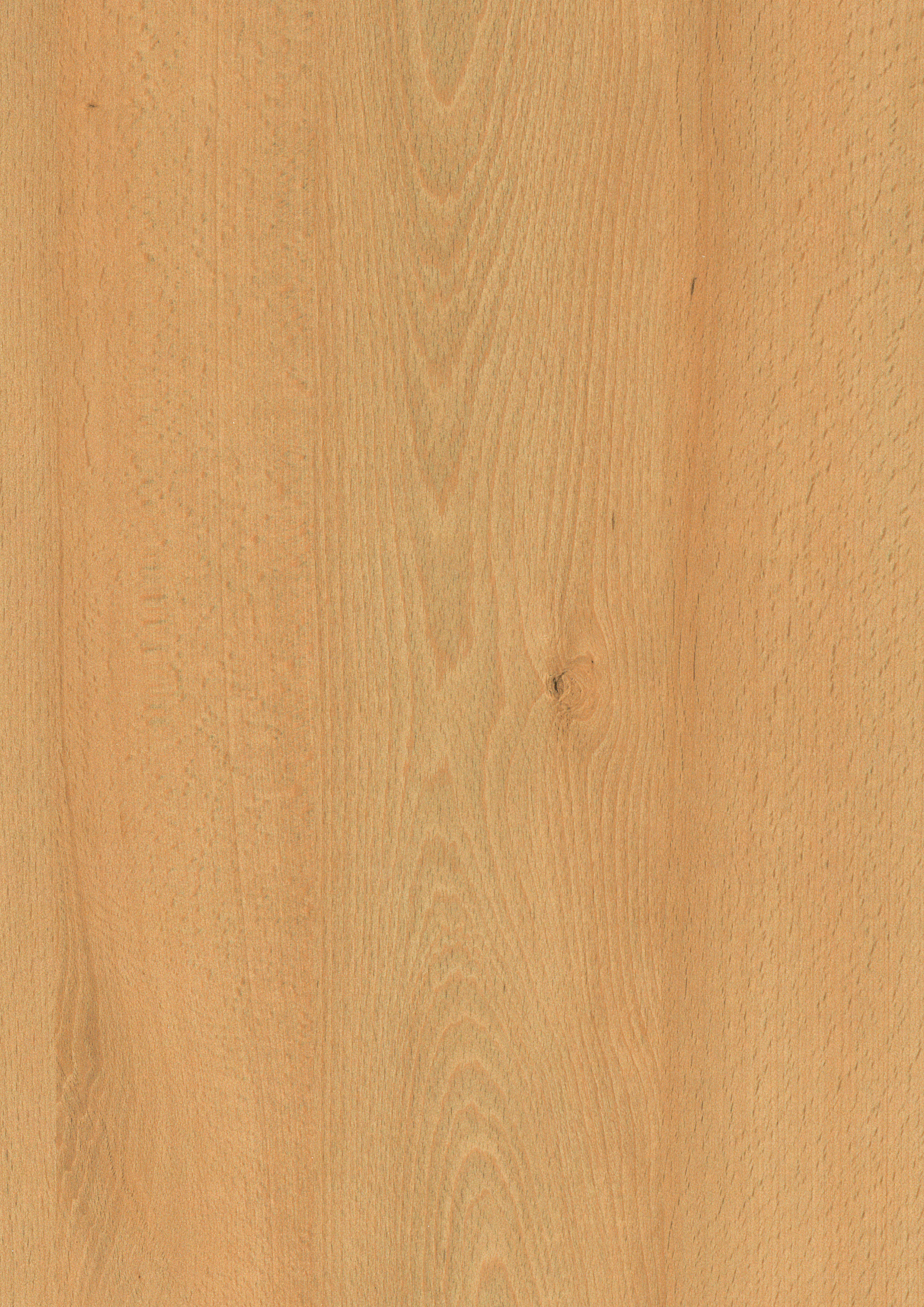 0,8/23 mm Egger ABS-Kante H1910 ST9 - Weidbuche_1 0,8/23 mm Egger ABS-Kante H1910 ST9 - Weidbuche_1