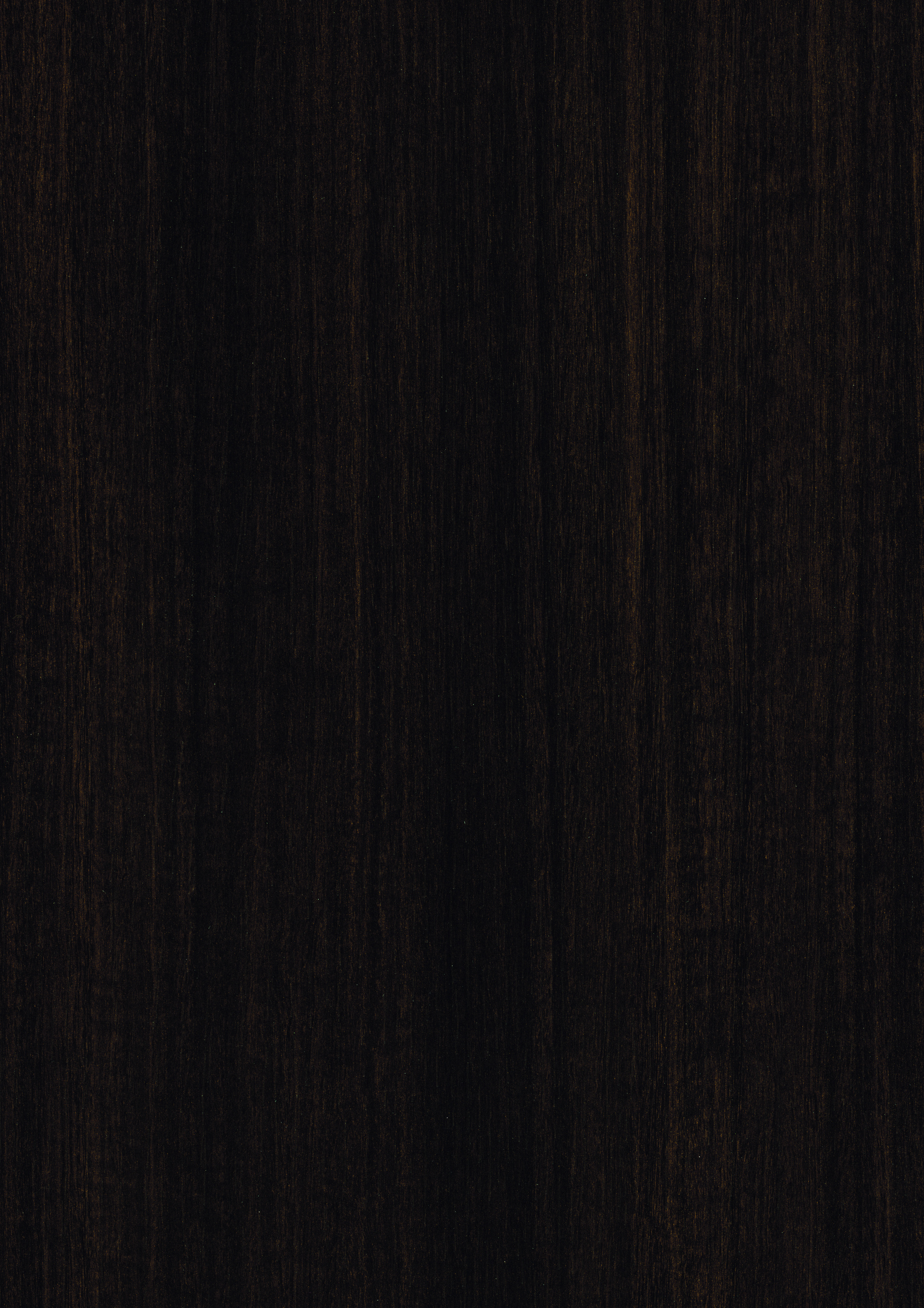 0,8/23 mm Egger ABS-Kante H3043 ST12 - Eukalyptus dunkelbraun_1 0,8/23 mm Egger ABS-Kante H3043 ST12 - Eukalyptus dunkelbraun_1