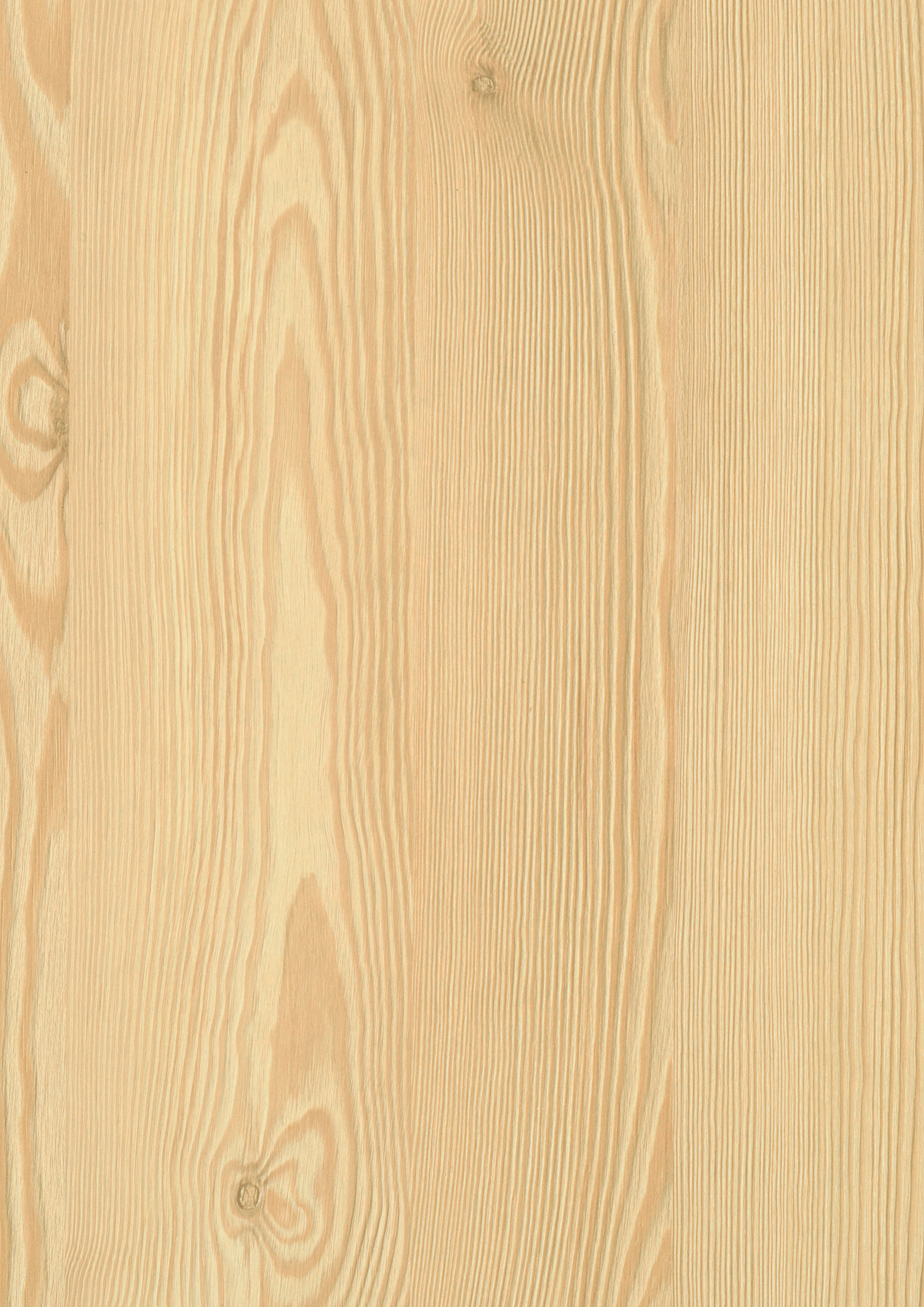 0,8/23 mm Egger ABS-Kante H3409 ST38 - Berglärche natur_1