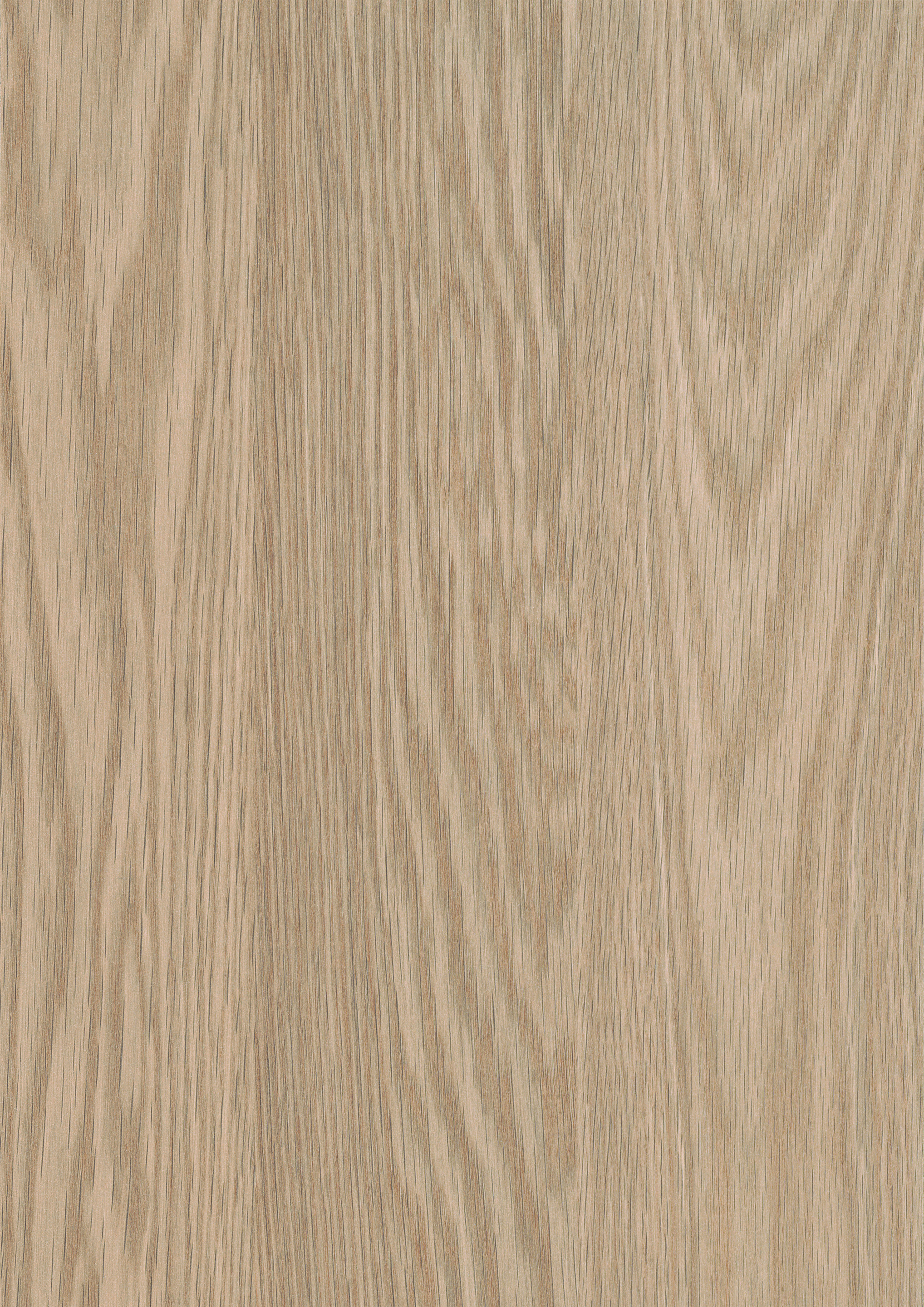 2/23 mm Egger ABS-Kante H1362 ST12 - Baronia Eiche hell_1 2/23 mm Egger ABS-Kante H1362 ST12 - Baronia Eiche hell_1