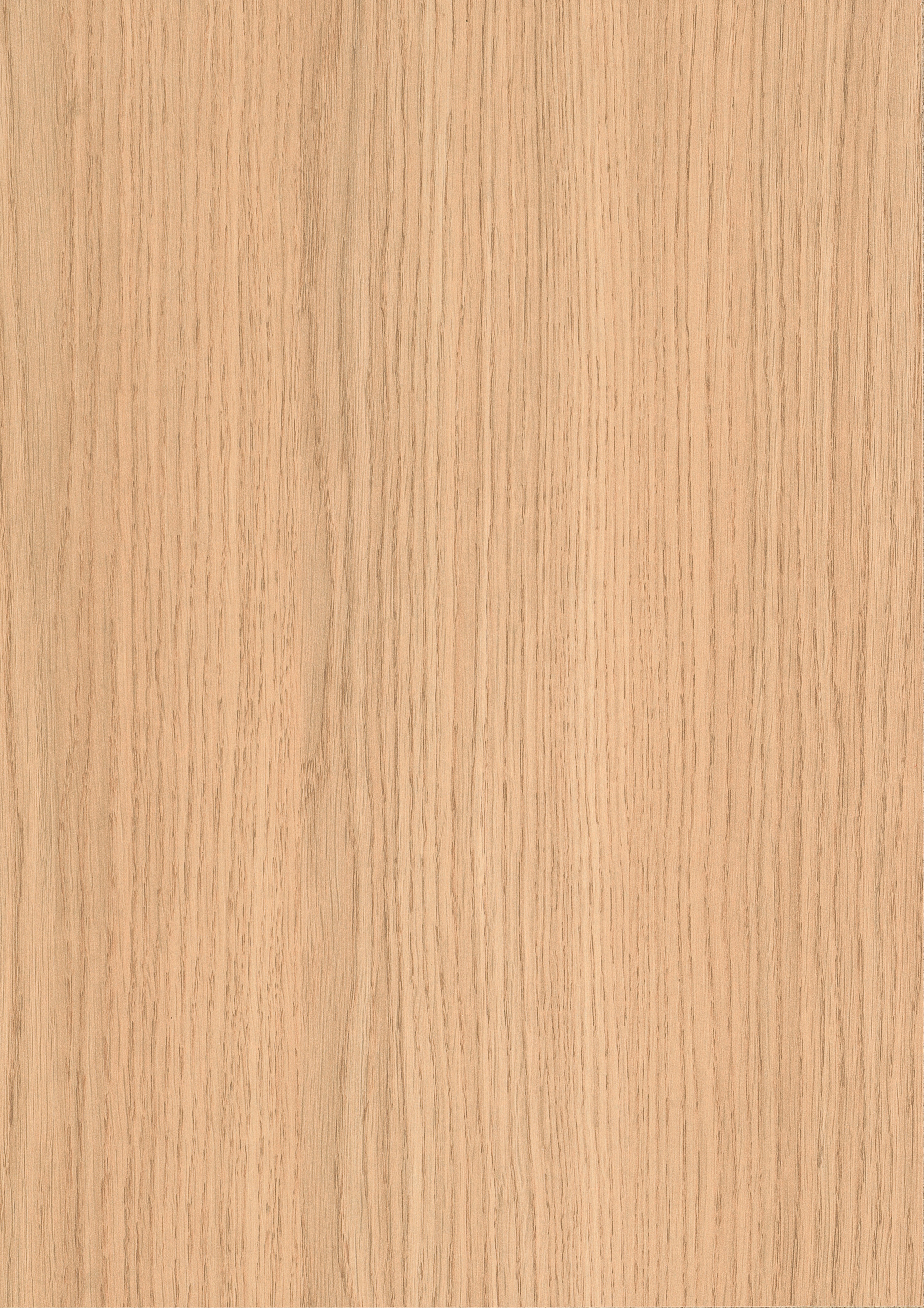 2/23 mm Egger ABS-Kante H3152 ST19 - Vicenza Eiche gebleicht_1