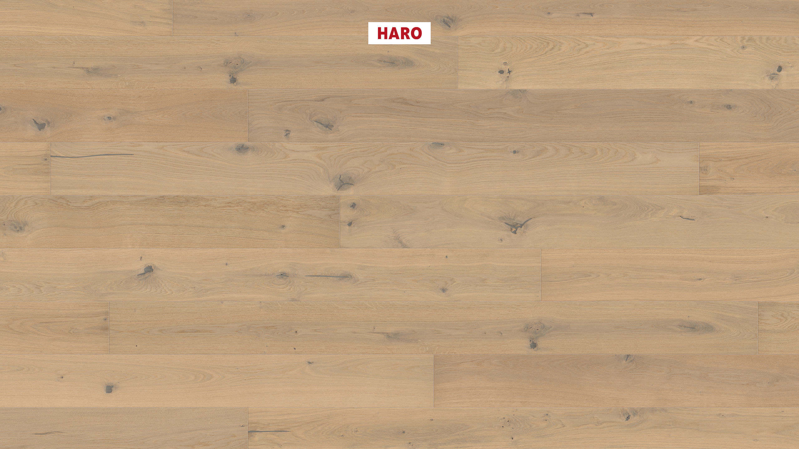 13,5 mm HARO Parkett Serie 4000 - Eiche lichtweiß Sauvage, strukturiert 4V_0