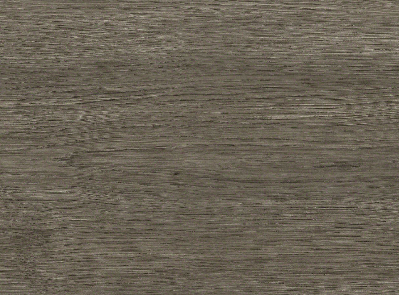 8 mm HARO Laminatboden Tritty 100 - Eiche Eleganza antikgrau_2