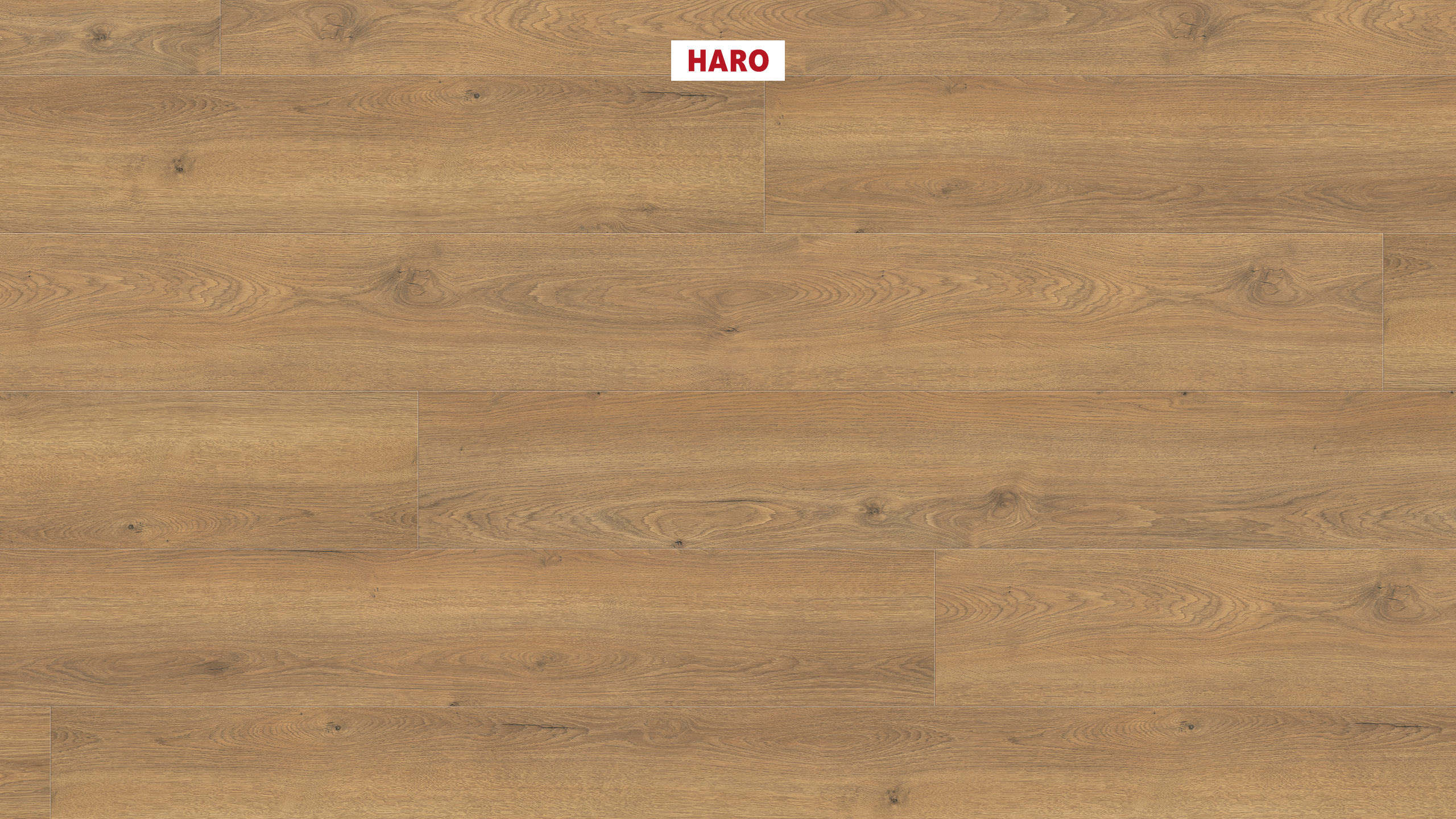 8 mm HARO Laminatboden Tritty 100 - Eiche Flavia natur_0