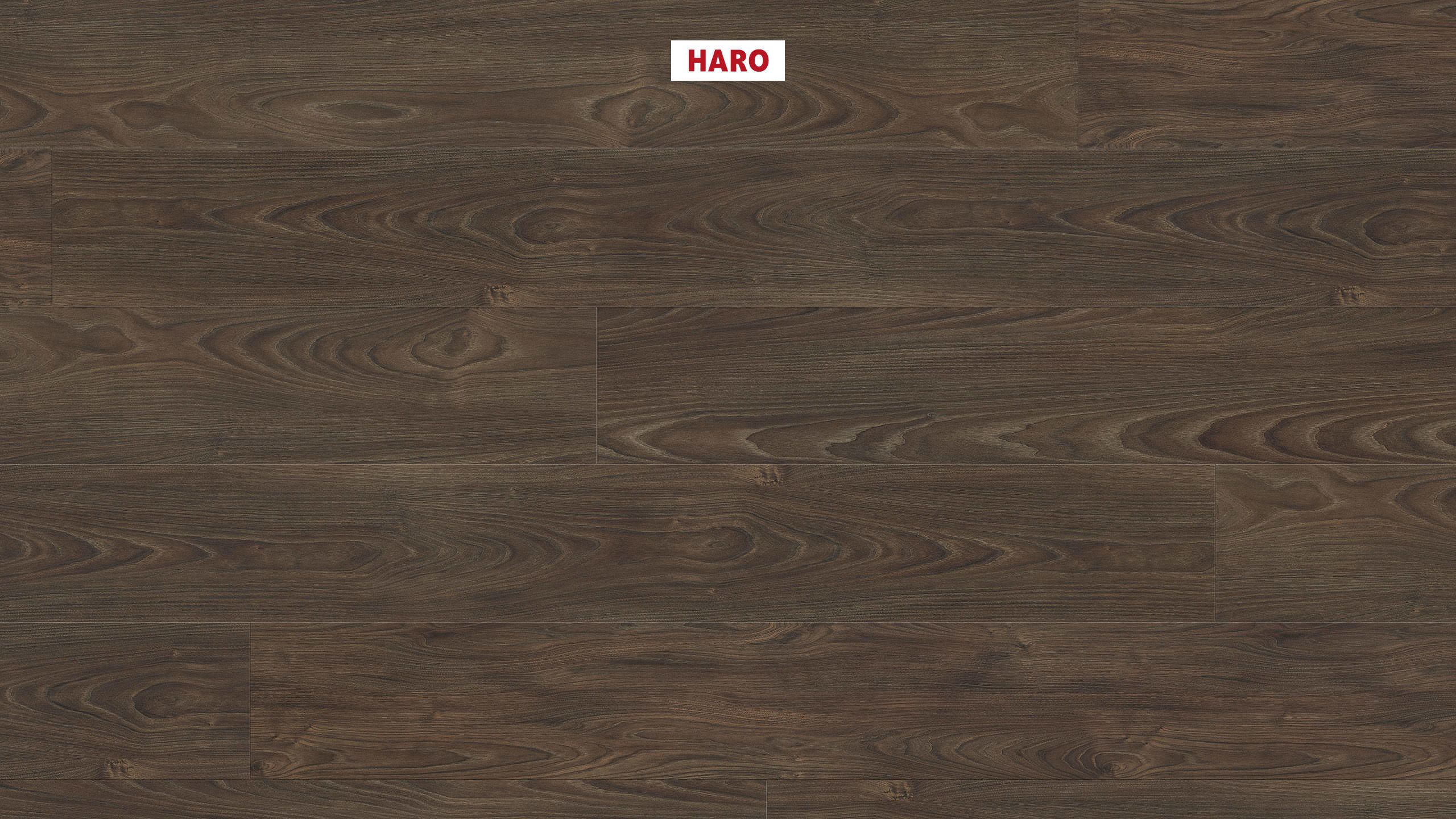 8 mm HARO Laminatboden Tritty 100 - Akazie Vario_0