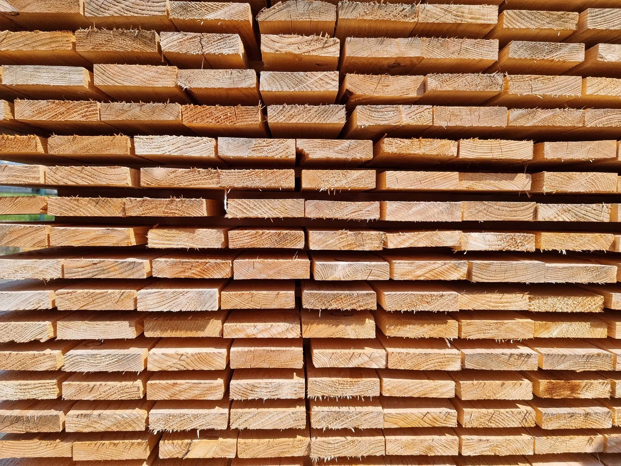 24-mm-fichte-schalung-besaeumt-iiiii-ad---lufttrocknung-unbesaeumt-saegerau-01 24 mm Fichte Schalung besäumt II/III