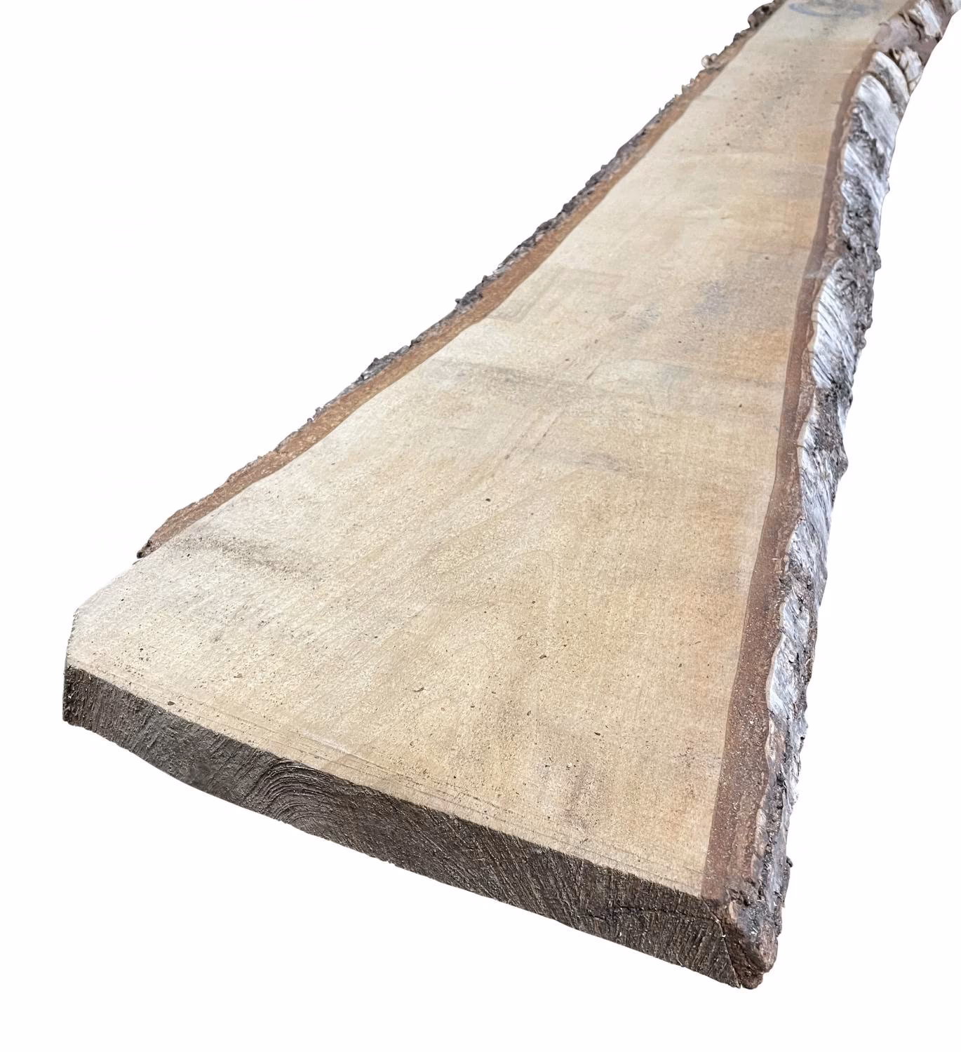 40-mm-birke-nordisch-kd-40x0mm-kd---kammertrocknung-besaeumt-birke-01 40 mm Birke, nordisch KD_40-mm-birke-nordisch-kd-40x0mm-kd---kammertrocknung-besaeumt-birke-01