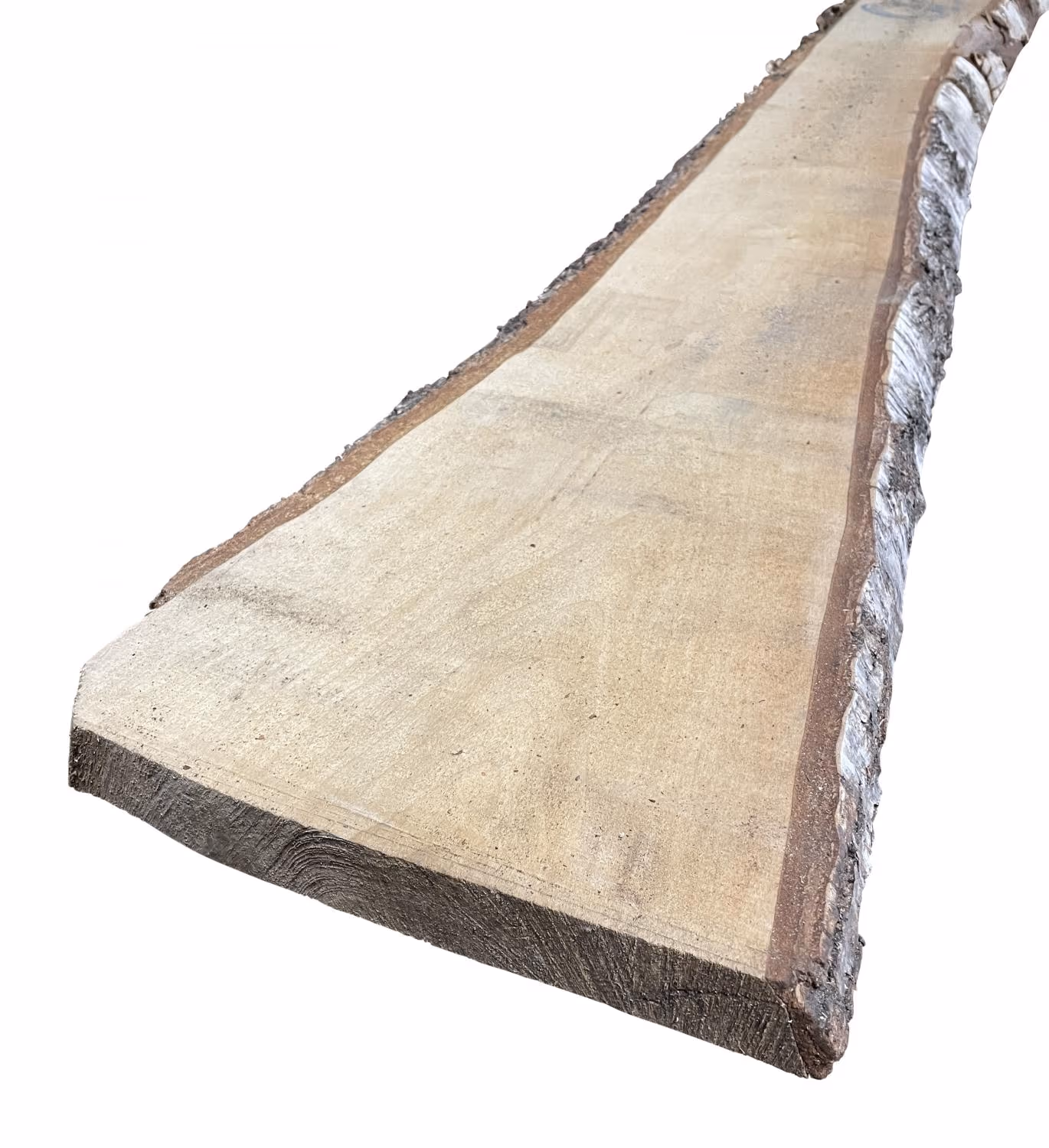 65 mm Birke, nordisch KD_65-mm-birke-nordisch-kd-65x0mm-kd---kammertrocknung-besaeumt-birke-01