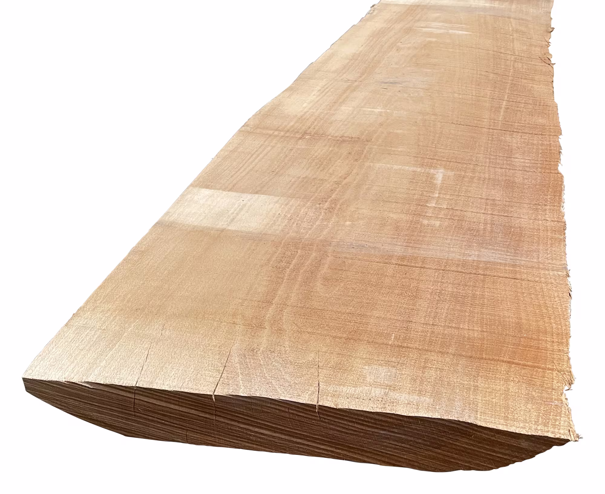 26 mm Buche, gedämpft KD_26-mm-buche-gedaempft-kd-26x0mm-buche-kd---kammertrocknung-besaeumt-01 26 mm Buche, gedämpft KD_26-mm-buche-gedaempft-kd-26x0mm-buche-kd---kammertrocknung-besaeumt-01