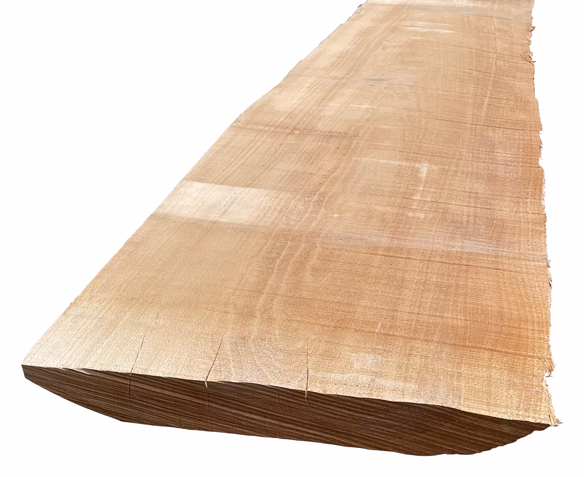 26-mm-buche-gedaempft-kd-26x0mm-buche-kd---kammertrocknung-besaeumt-01 26 mm Buche, gedämpft KD_26-mm-buche-gedaempft-kd-26x0mm-buche-kd---kammertrocknung-besaeumt-01