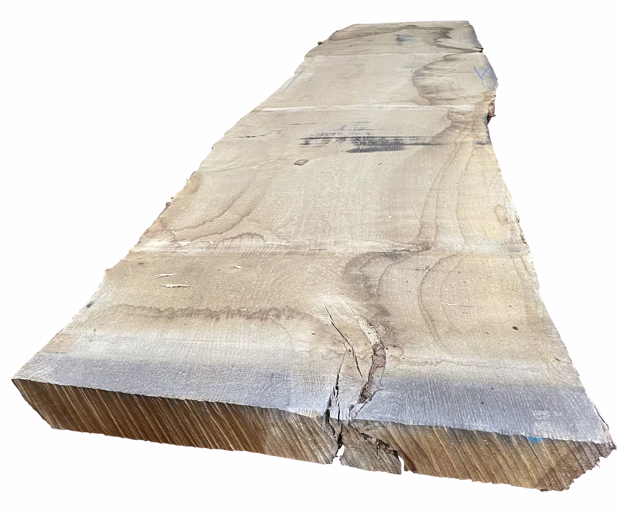 27 mm Eiche Ast, europ. KD_27-mm-eiche-ast-europ-kd-27x0mm-eiche-kd---kammertrocknung-besaeumt-01