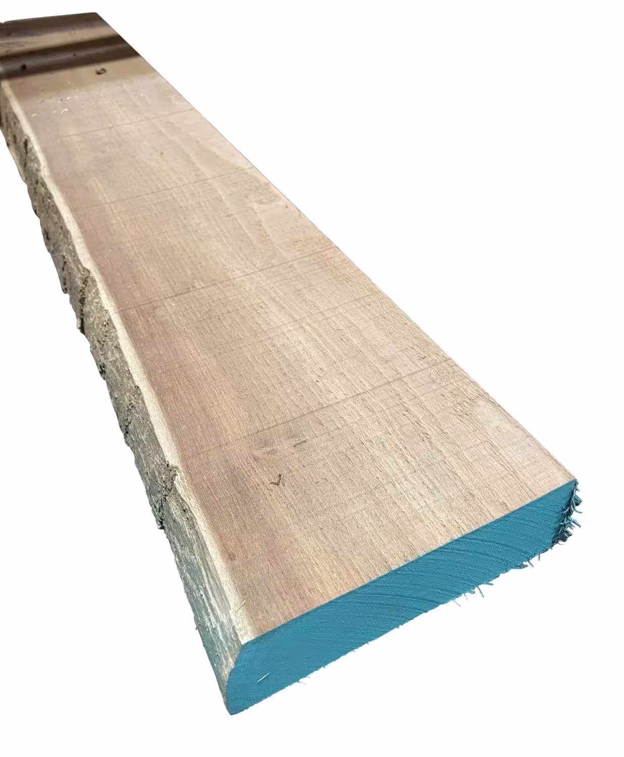 52-mm-robinie-kd-52x0mm-kd---kammertrocknung-besaeumt-robinie-01 52 mm Robinie, KD