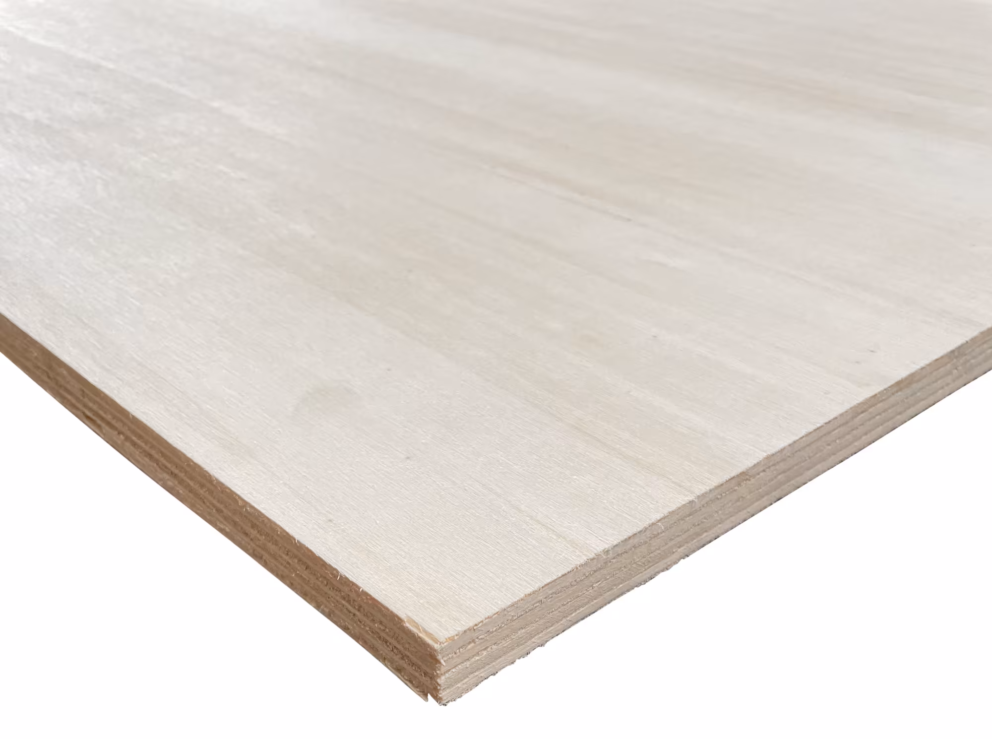 12 mm Pappel Sperrholzplatten B/BB - EN 636-1, EN 314-1_12-mm-pappel-sperrholzplatten-bbb---en-636-1-en-314-1-en-314-1-klasse-1---fuer-trockenbereiche-pappel-bbb-laengs-01