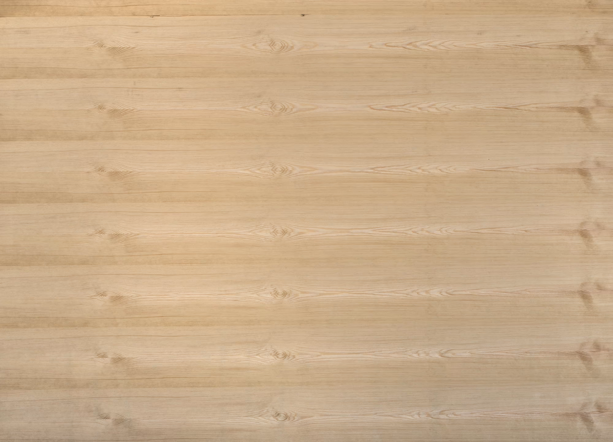europlac-19-mm-kiefer-furnierte-spanplatte---spanplatte---e1-p2-ce-19x2070x2800mm-laengs-01 19 mm Kiefer furnierte Spanplatte - Spanplatte - E1 P2 CE_europlac-19-mm-kiefer-furnierte-spanplatte---spanplatte---e1-p2-ce-19x2070x2800mm-laengs-01