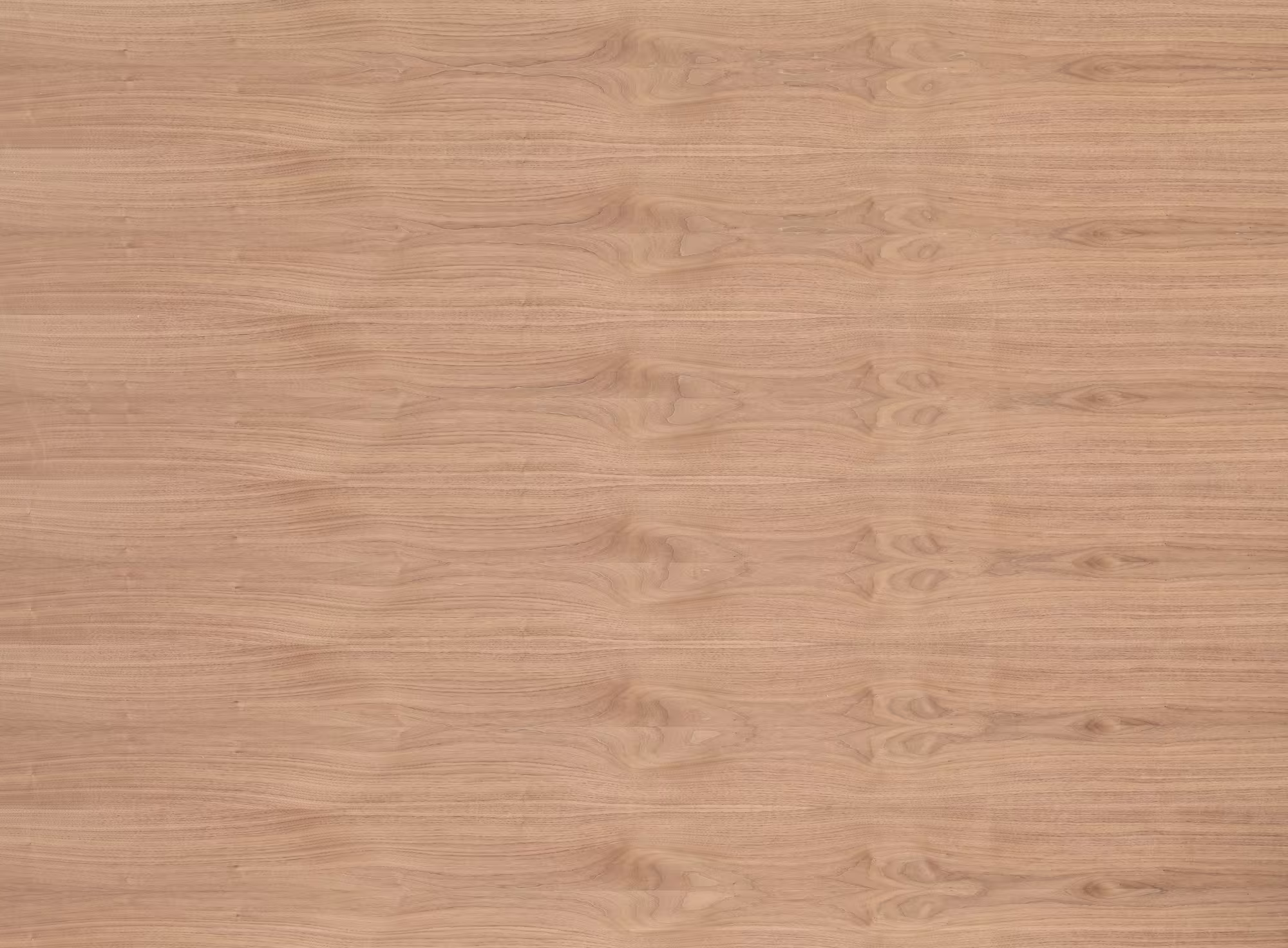 europlac-19-mm-amerik-nussbaum-furnierte-spanplatte---e1-p2-ce-19x2070x2800mm-laengs-01 19 mm amerik. Nussbaum furnierte Spanplatte - E1 P2 CE