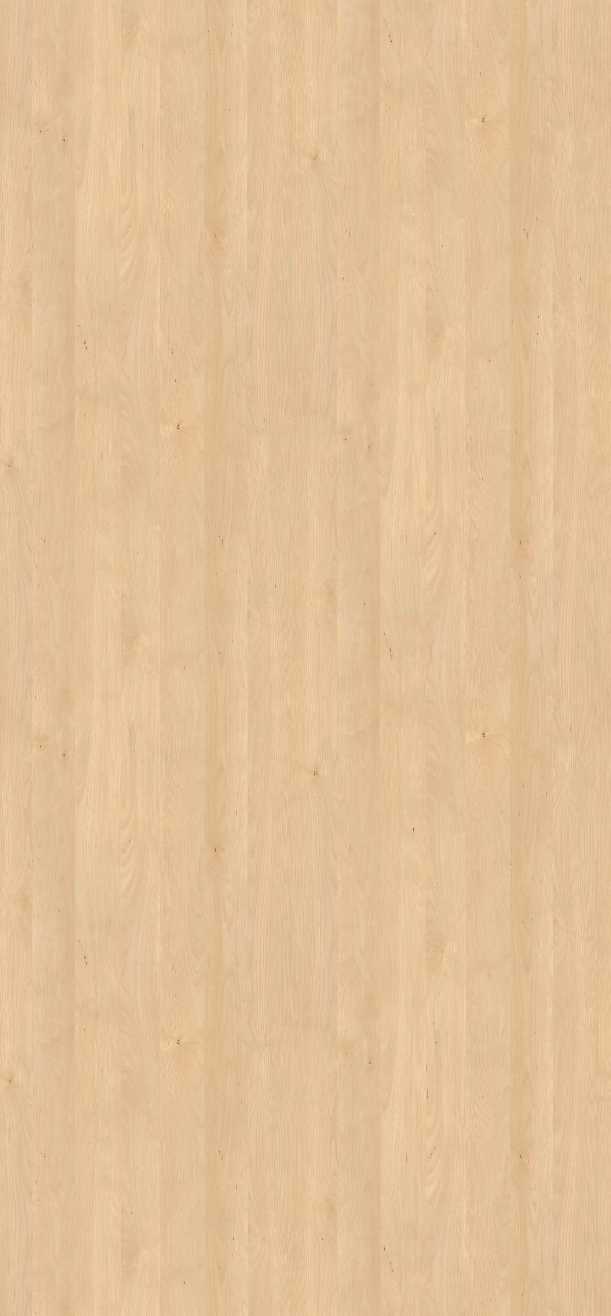 egger-8-mm-egger-eurodekor-span-h3840-st9-8x2070x2800mm-recyclebar-abriebfest-lichtecht-antimikrobielle-oberflaeche-holz-01 8 mm Egger Eurodekor Span H3840 ST9_egger-8-mm-egger-eurodekor-span-h3840-st9-8x2070x2800mm-recyclebar-abriebfest-lichtecht-antimikrobielle-oberflaeche-holz-01