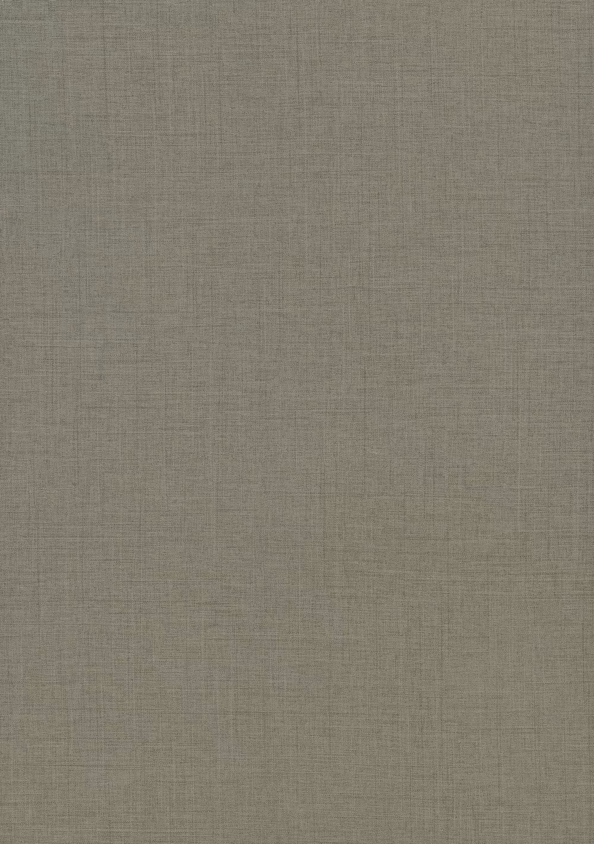 19 mm Egger Eurodekor Span F424 ST10_egger-19-mm-egger-eurodekor-span-f424-st10-19x2070x2800mm-recyclebar-abriebfest-lichtecht-antimikrobielle-oberflaeche-01