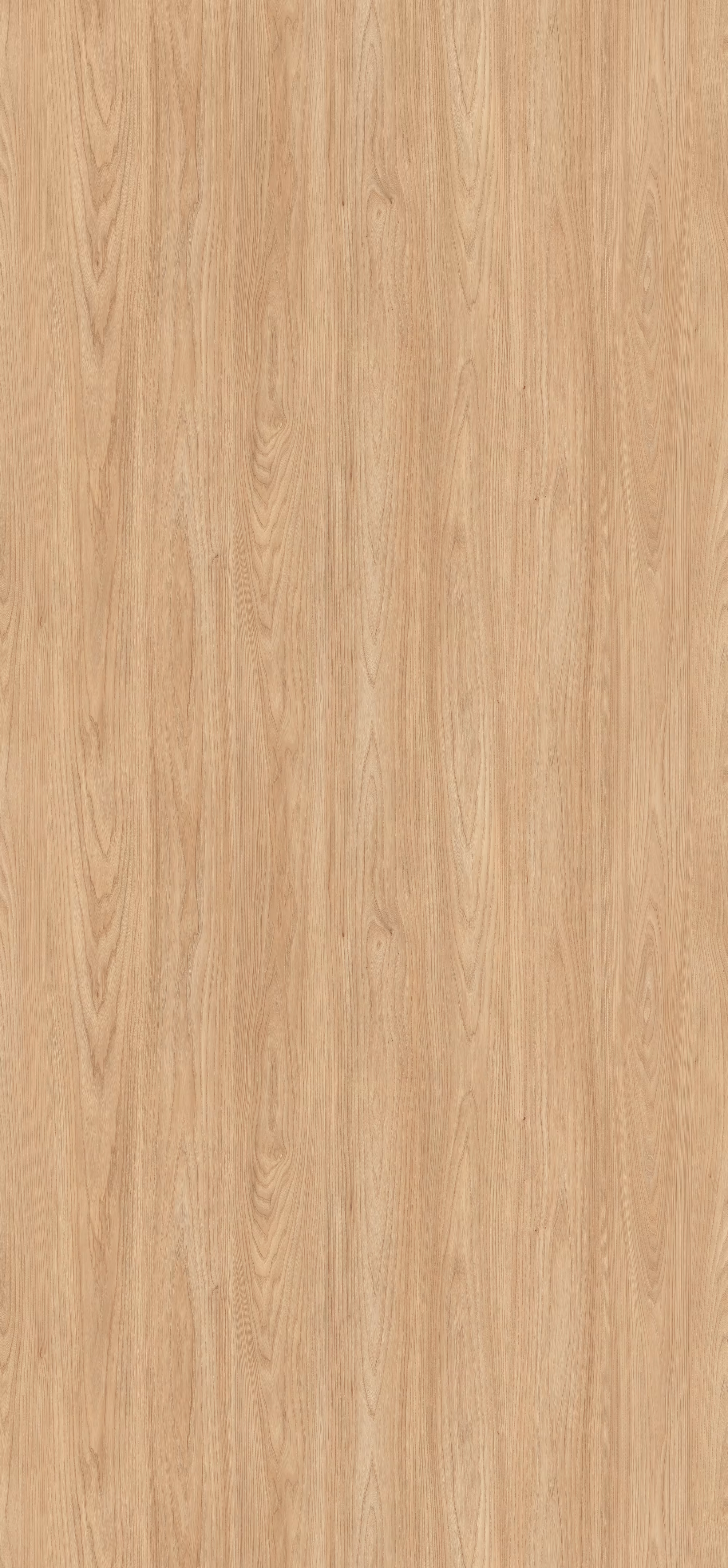 egger-8-mm-egger-eurodekor-span-h1242-st10-8x2070x2800mm-recyclebar-abriebfest-lichtecht-antimikrobielle-oberflaeche-holz-01 8 mm Egger Eurodekor Span H1242 ST10_egger-8-mm-egger-eurodekor-span-h1242-st10-8x2070x2800mm-recyclebar-abriebfest-lichtecht-antimikrobielle-oberflaeche-holz-01
