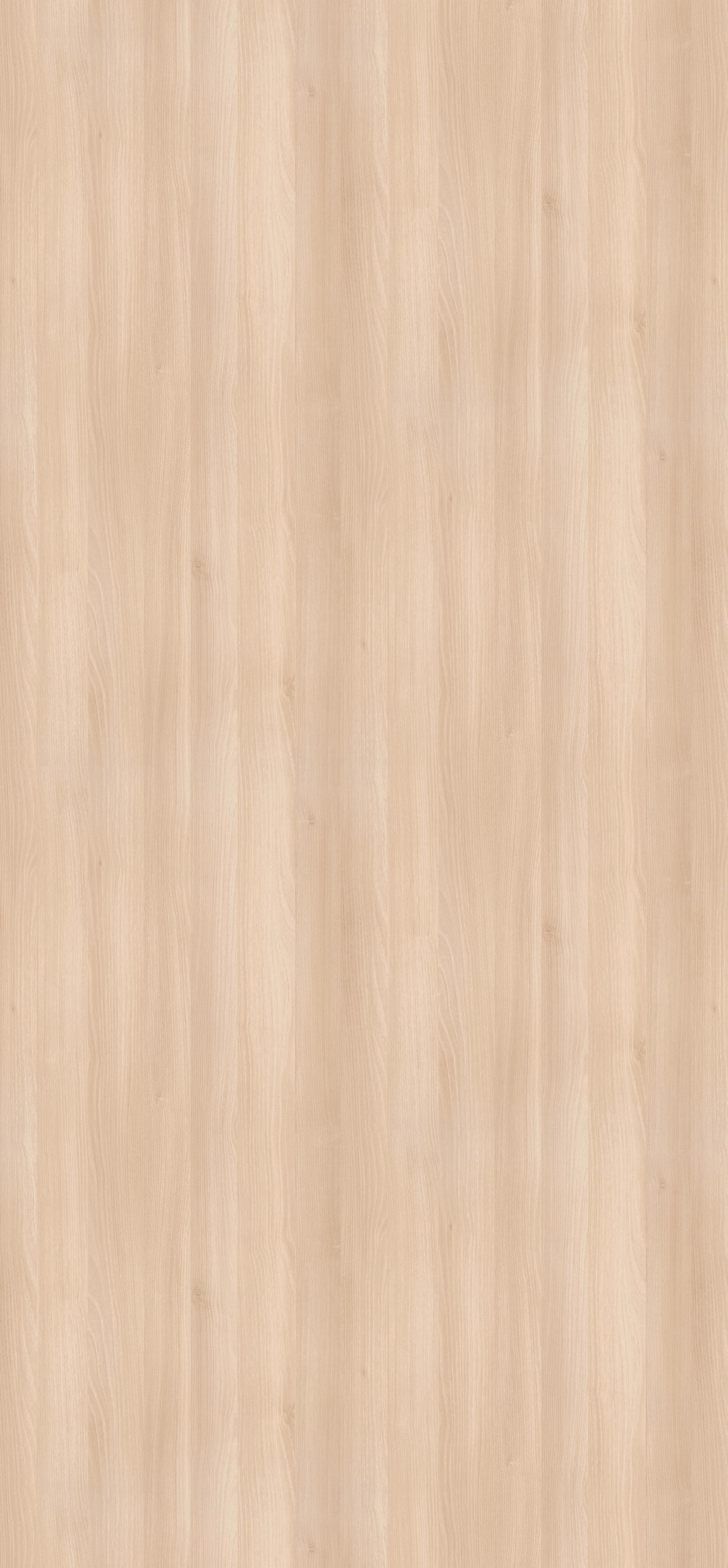 Detailaufnahme der hellen Lakeland Akazie Holzmaserung des 0,8 mm starken EGGER HPL Schichtstoffs H1277 ST9. Abriebfeste und lichtechte Oberfläche.