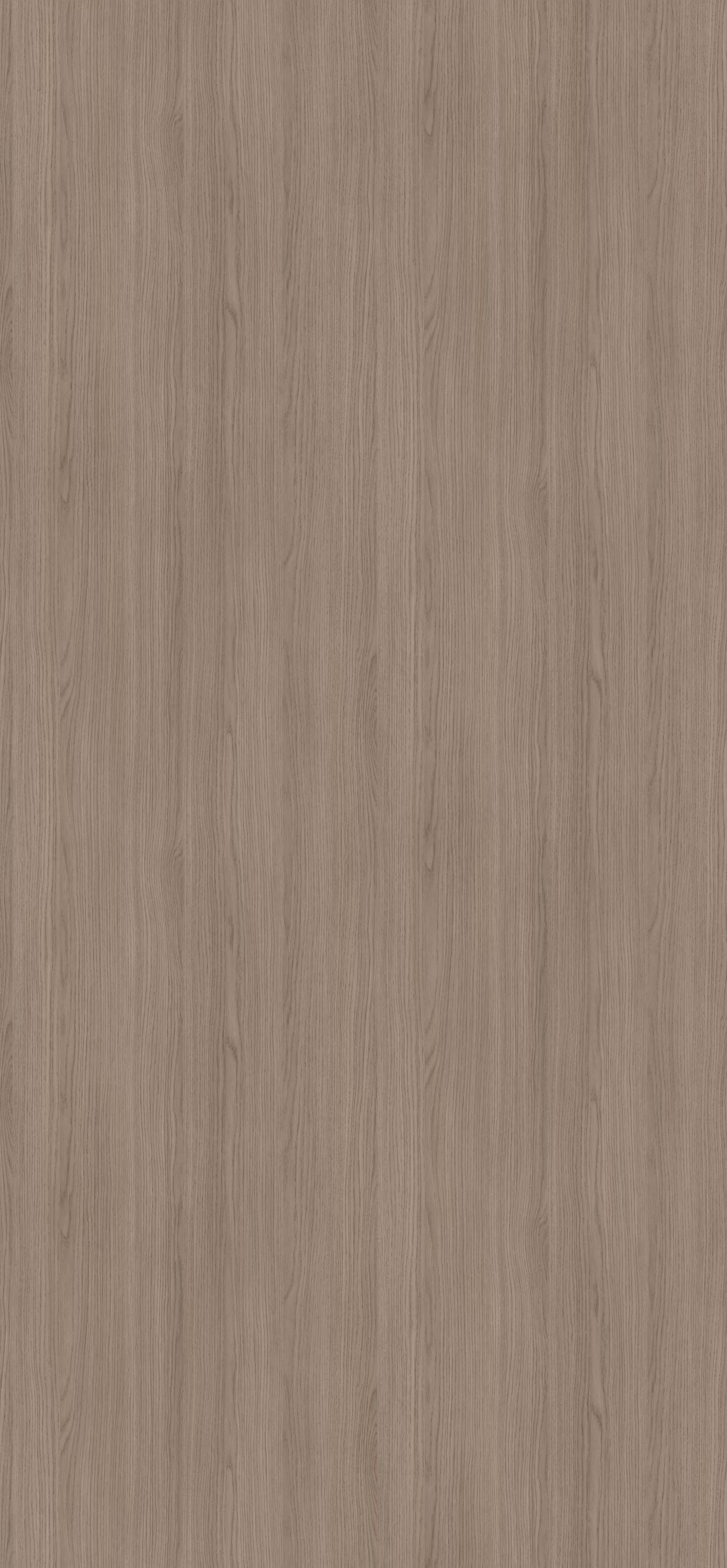 egger-08-mm-egger-schichtstoff-h3158-st19-08x1310x2800mm-recyclebar-abriebfest-lichtecht-antimikrobielle-oberflaeche-holz-01 0,8 mm Egger Schichtstoff H3158 ST19_egger-08-mm-egger-schichtstoff-h3158-st19-08x1310x2800mm-recyclebar-abriebfest-lichtecht-antimikrobielle-oberflaeche-holz-01
