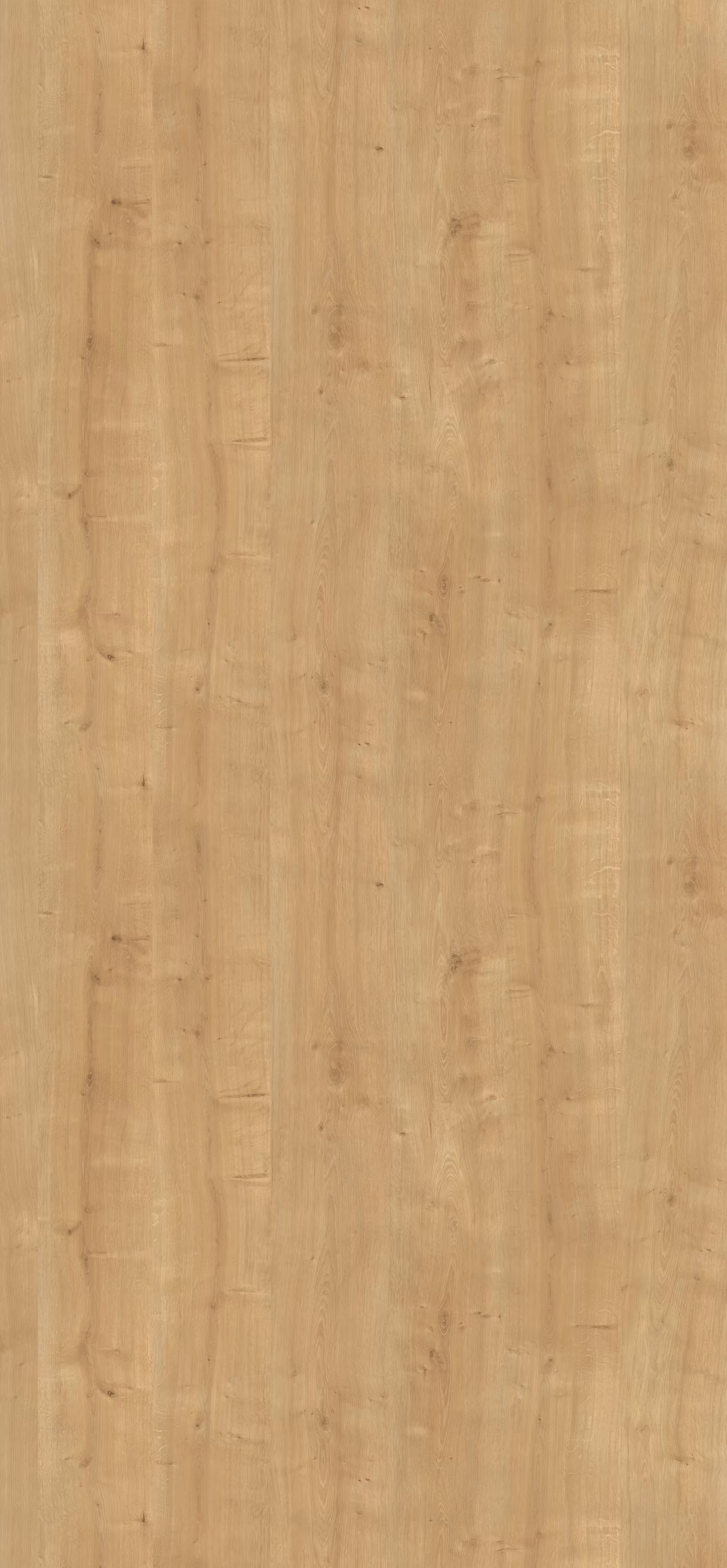egger-08-mm-egger-schichtstoff-h3303-st10-08x1310x2800mm-recyclebar-abriebfest-lichtecht-antimikrobielle-oberflaeche-holz-01 0,8 mm Egger Schichtstoff H3303 ST10_egger-08-mm-egger-schichtstoff-h3303-st10-08x1310x2800mm-recyclebar-abriebfest-lichtecht-antimikrobielle-oberflaeche-holz-01