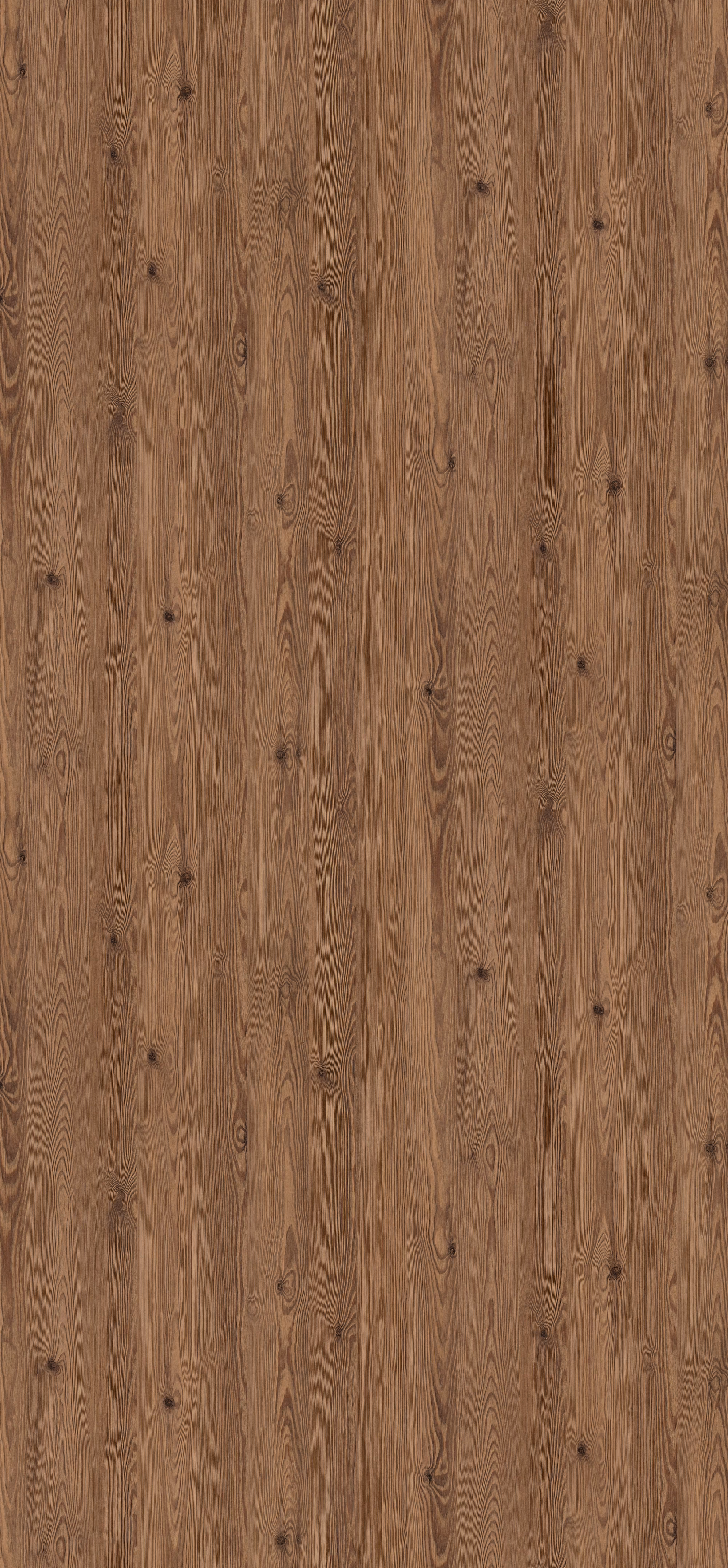 egger-08-mm-egger-schichtstoff-h3408-st38-08x2060x2790mm-recyclebar-abriebfest-lichtecht-antimikrobielle-oberflaeche-holz-01 0,8 mm Egger Schichtstoff H3408 ST38_egger-08-mm-egger-schichtstoff-h3408-st38-08x2060x2790mm-recyclebar-abriebfest-lichtecht-antimikrobielle-oberflaeche-holz-01