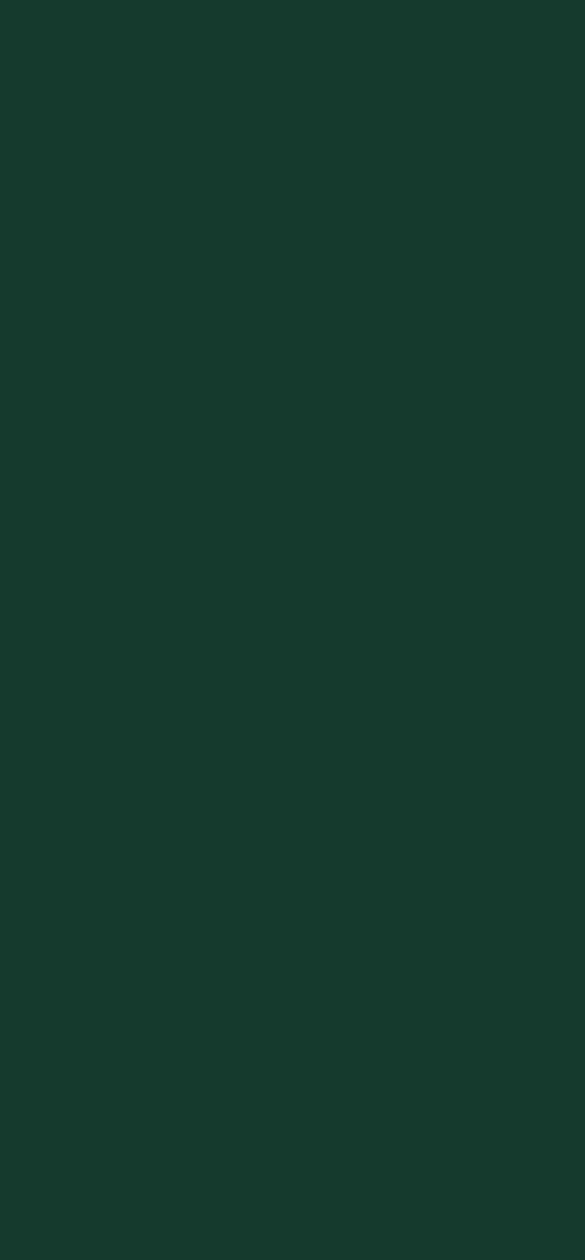 0,8 mm Egger Schichtstoff U606 ST9_egger-08-mm-egger-schichtstoff-u606-st9-08x1310x3050mm-recyclebar-abriebfest-unifarben-lichtecht-antimikrobielle-oberflaeche-01