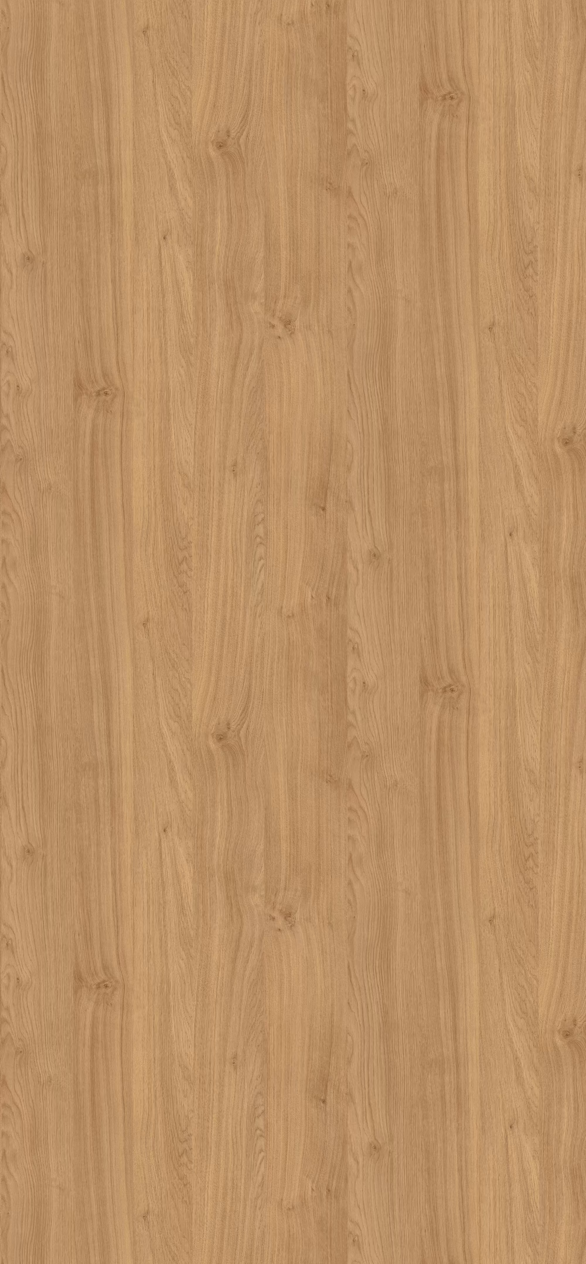0,8 mm Egger Schichtstoff H3171 ST12_egger-08-mm-egger-schichtstoff-h3171-st12-08x1310x3050mm-recyclebar-abriebfest-lichtecht-antimikrobielle-oberflaeche-holz-01